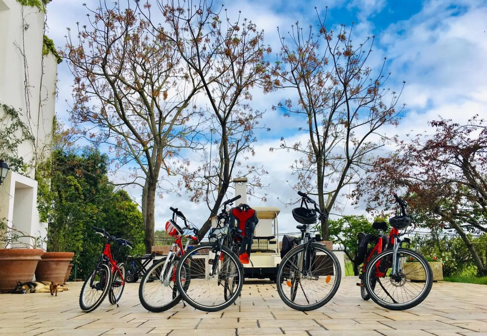 Breakfast in Tenuta DonnAnna Agriturismo&Glamping