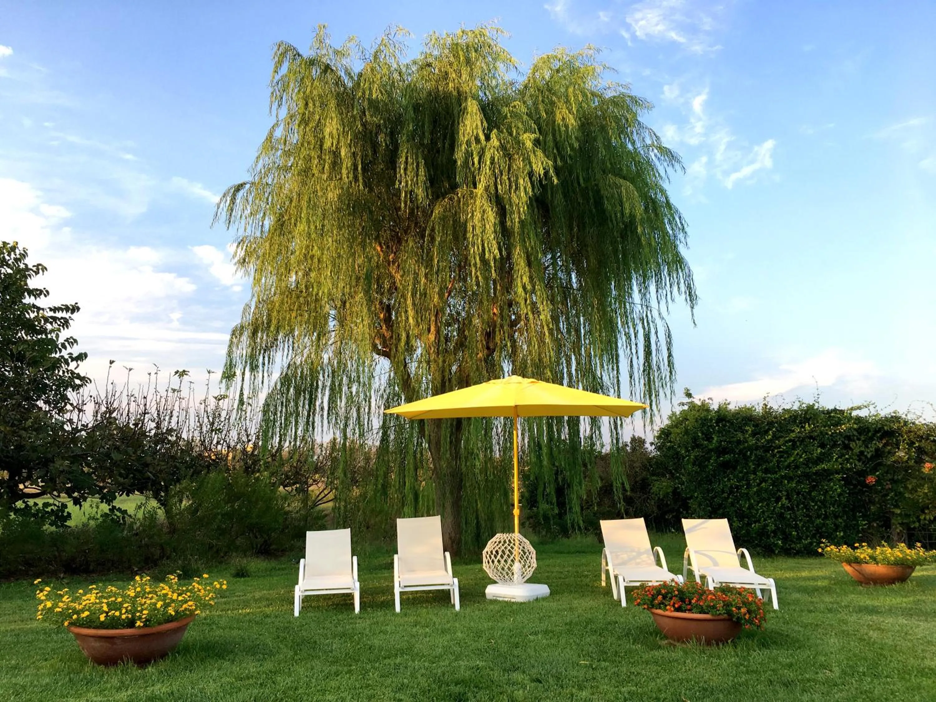 Garden in Tenuta DonnAnna Agriturismo&Glamping