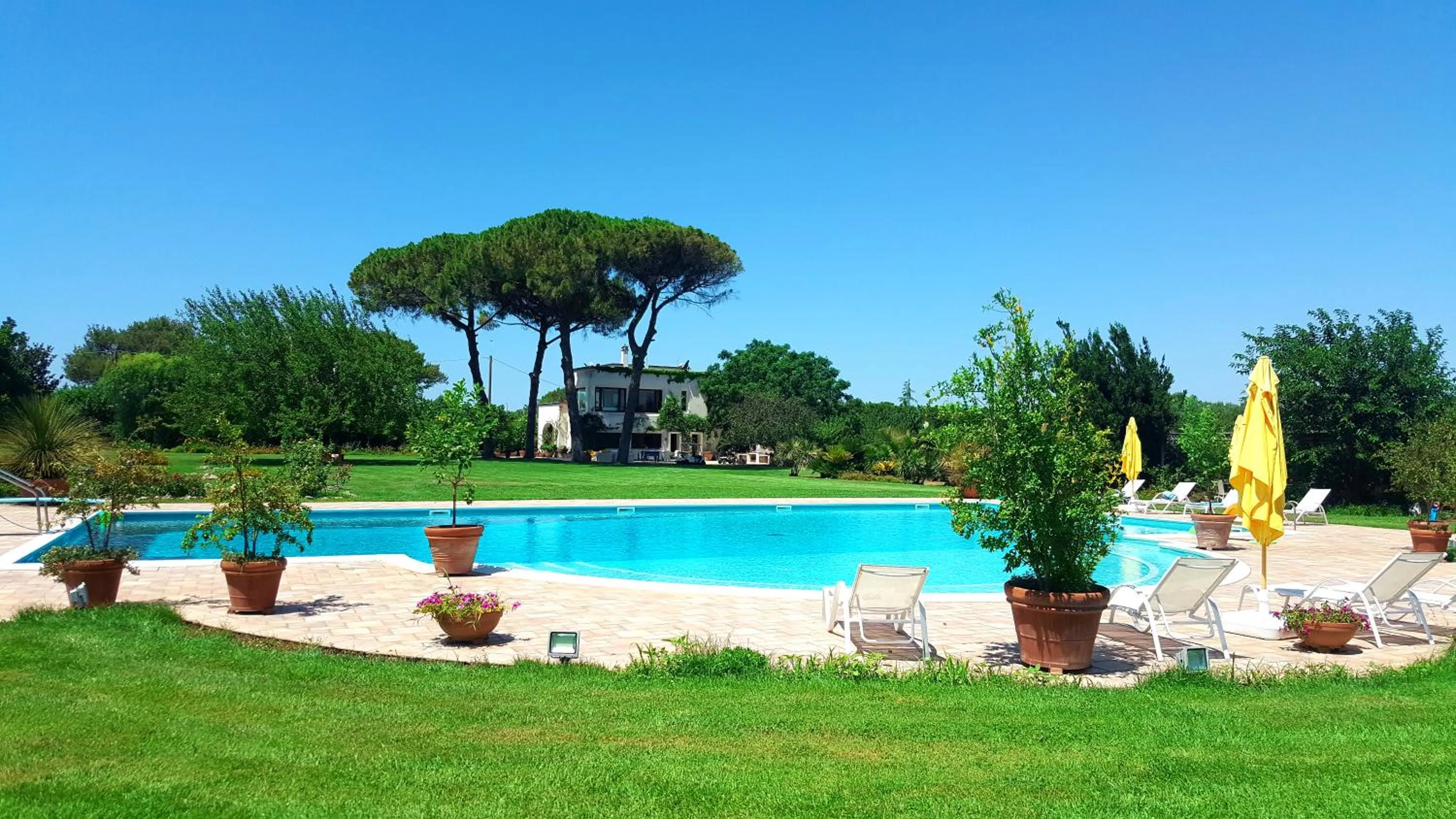 Swimming pool in Tenuta DonnAnna Agriturismo&Glamping