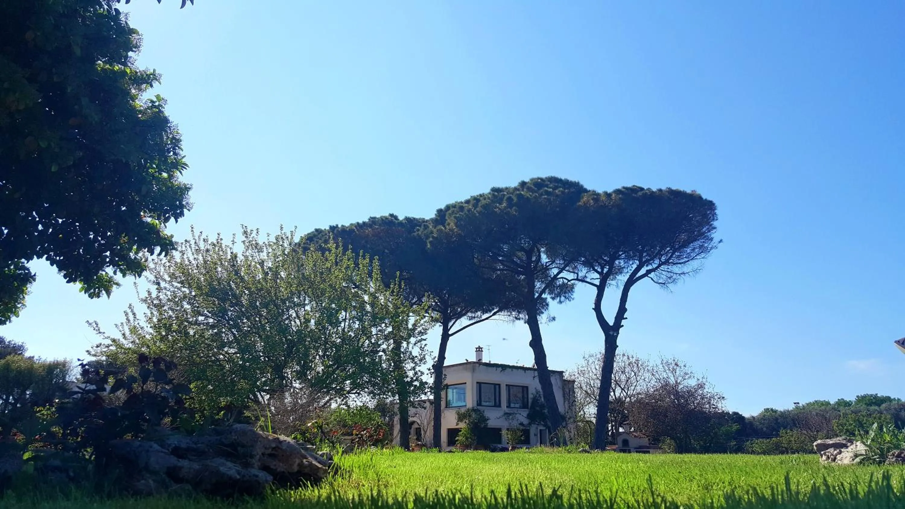 Garden in Tenuta DonnAnna Agriturismo&Glamping