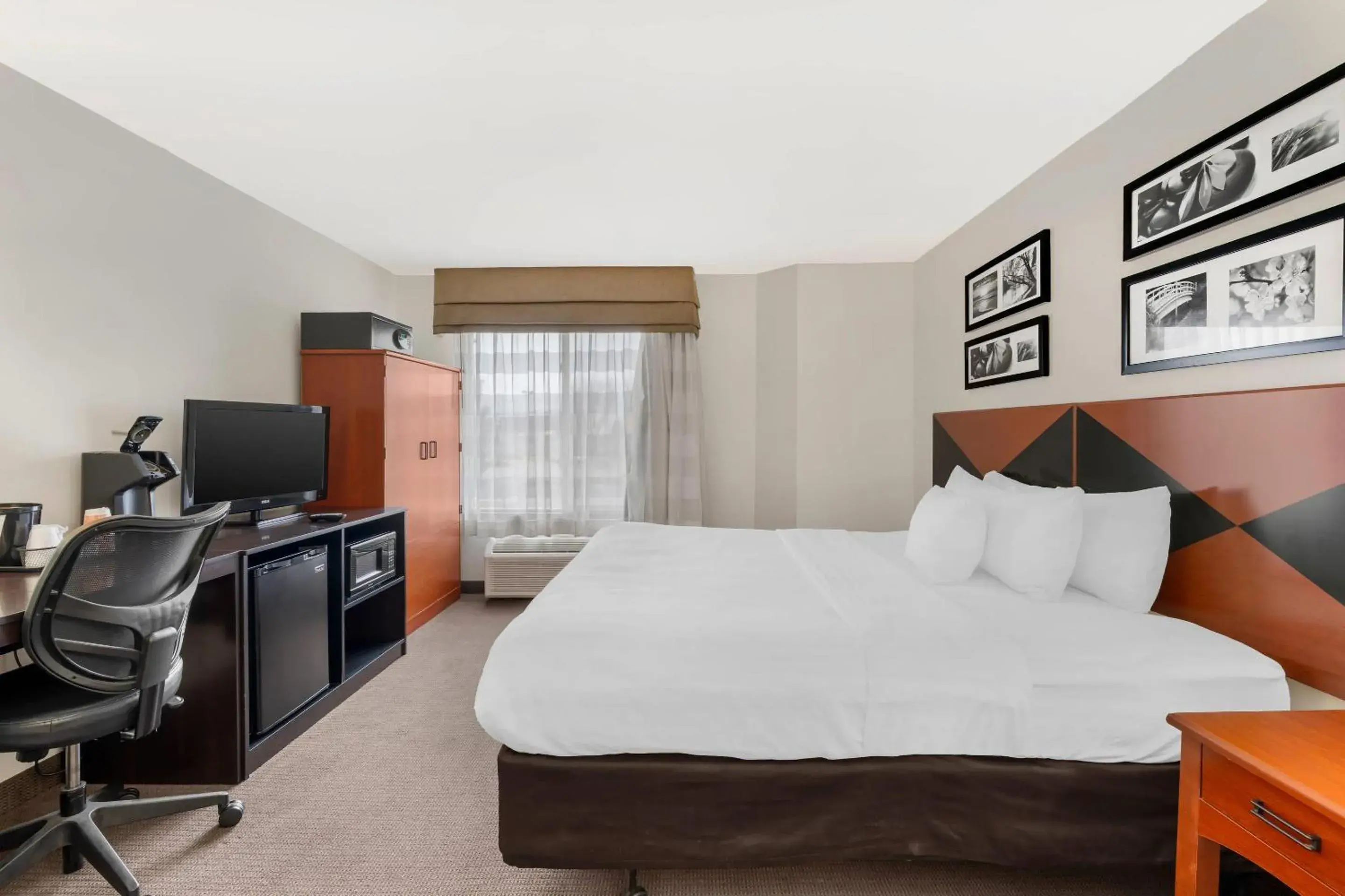 Bedroom, Bed in Sleep Inn Billings Bedroom, Bed in Sleep Inn Billings