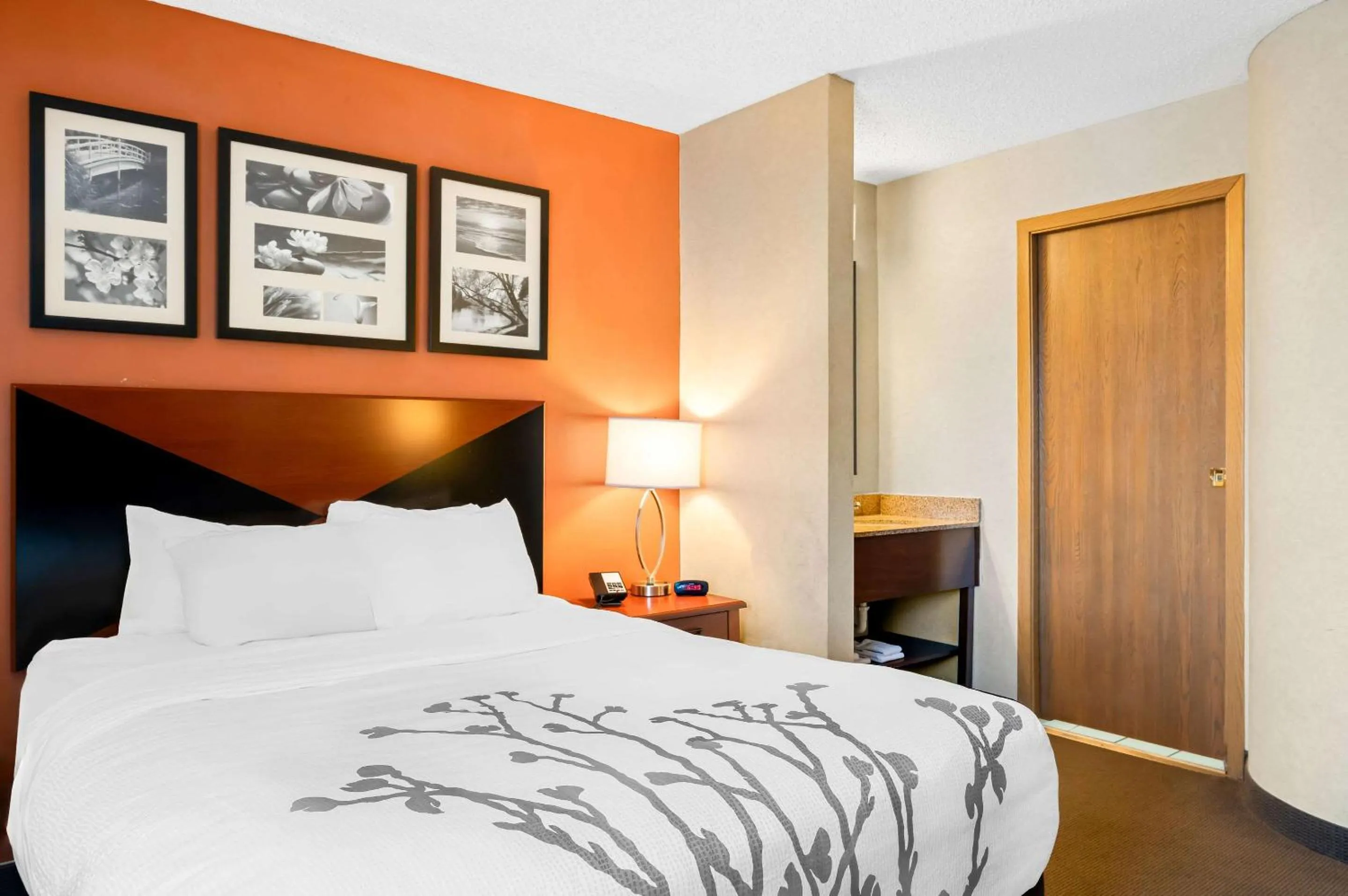 Bedroom, Bed in Sleep Inn Billings