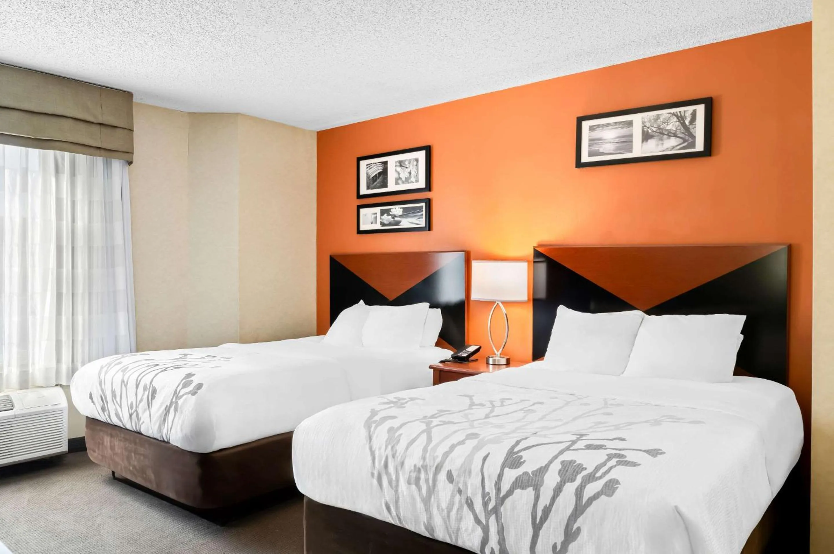 Bedroom, Bed in Sleep Inn Billings