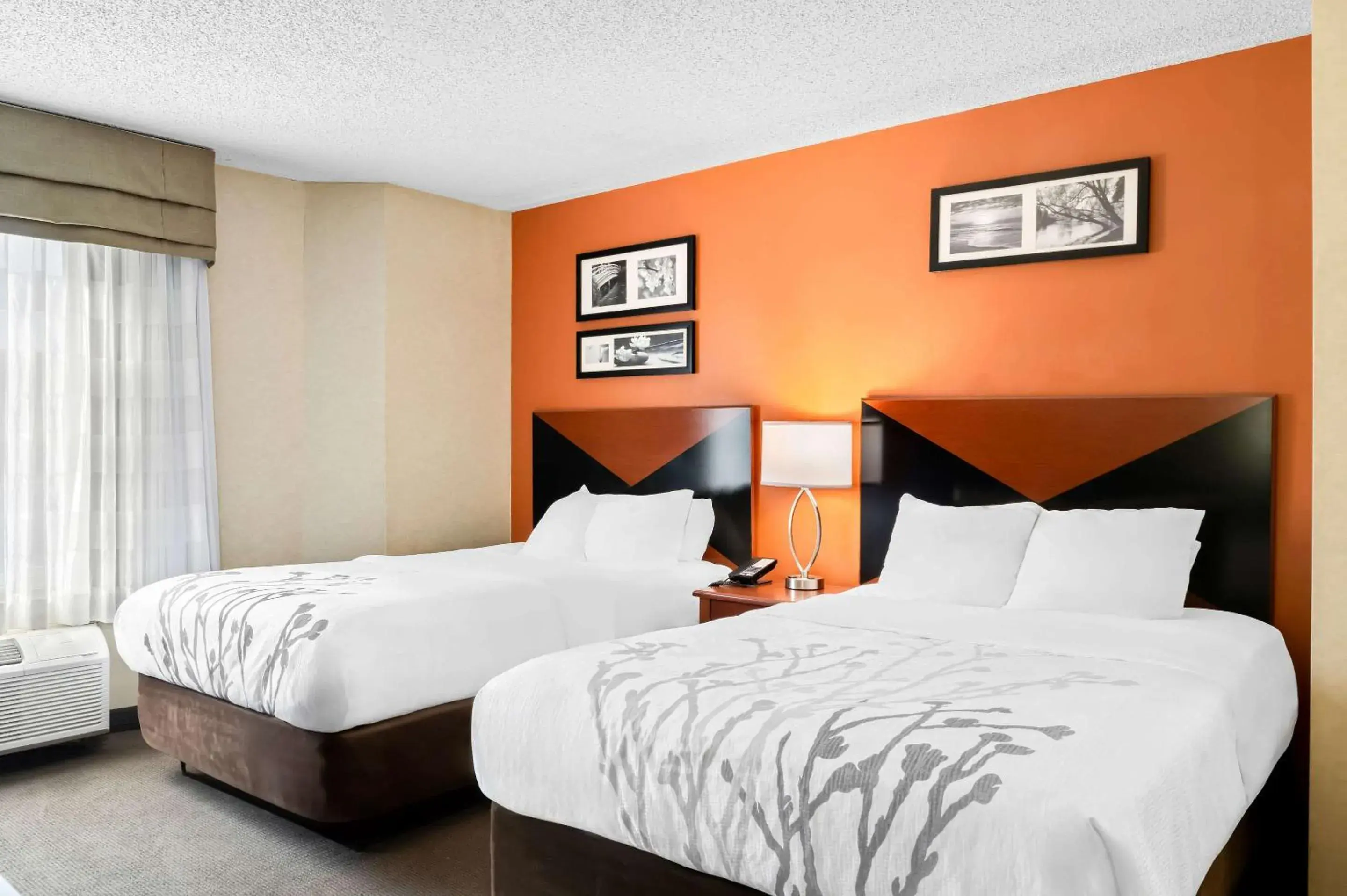 Bedroom, Bed in Sleep Inn Billings Bedroom, Bed in Sleep Inn Billings