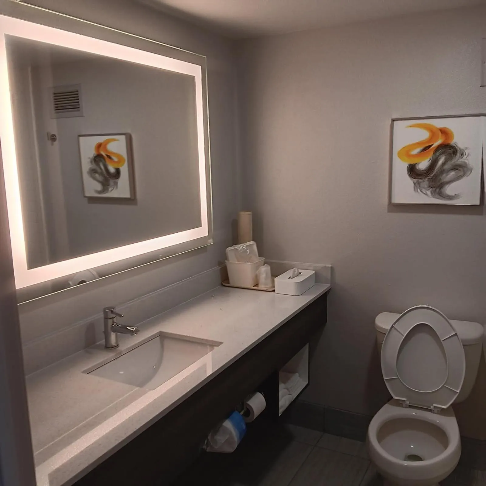 Bathroom in Comfort Inn North of Asheville