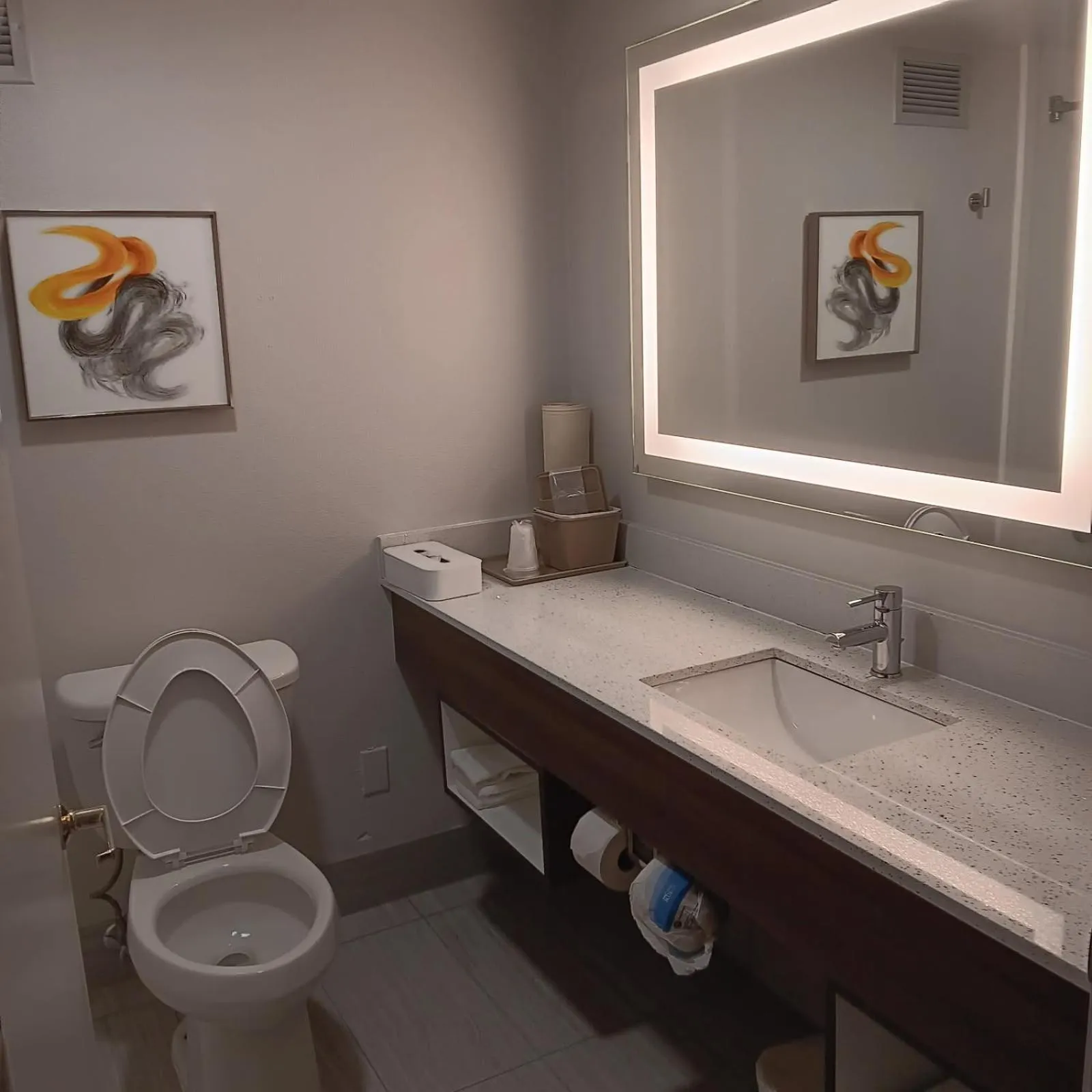 pet friendly in Comfort Inn North of Asheville