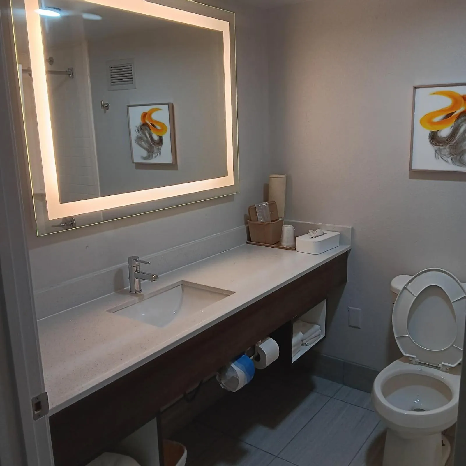 Bathroom in Comfort Inn North of Asheville