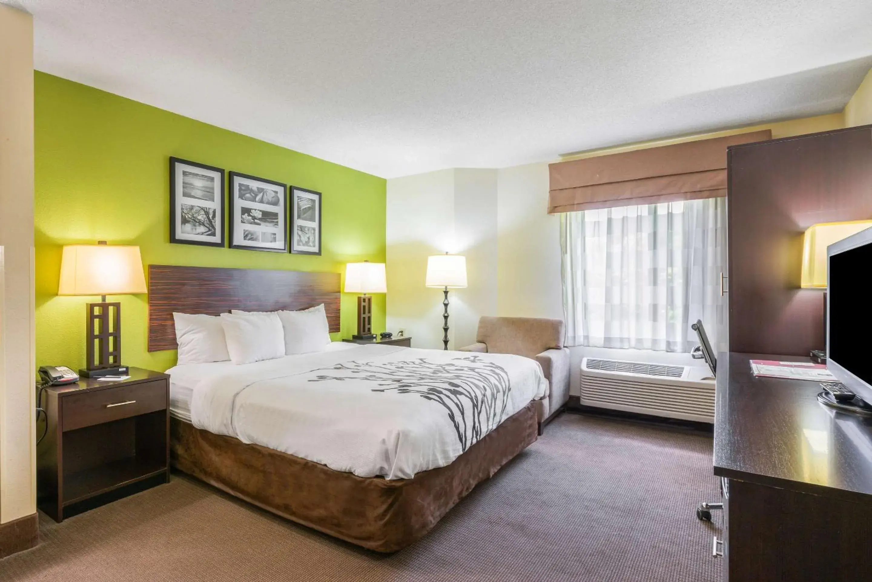 Standard King Room - Non-Smoking in Sleep Inn Statesville I-40 Standard King Room - Non-Smoking in Sleep Inn Statesville I-40