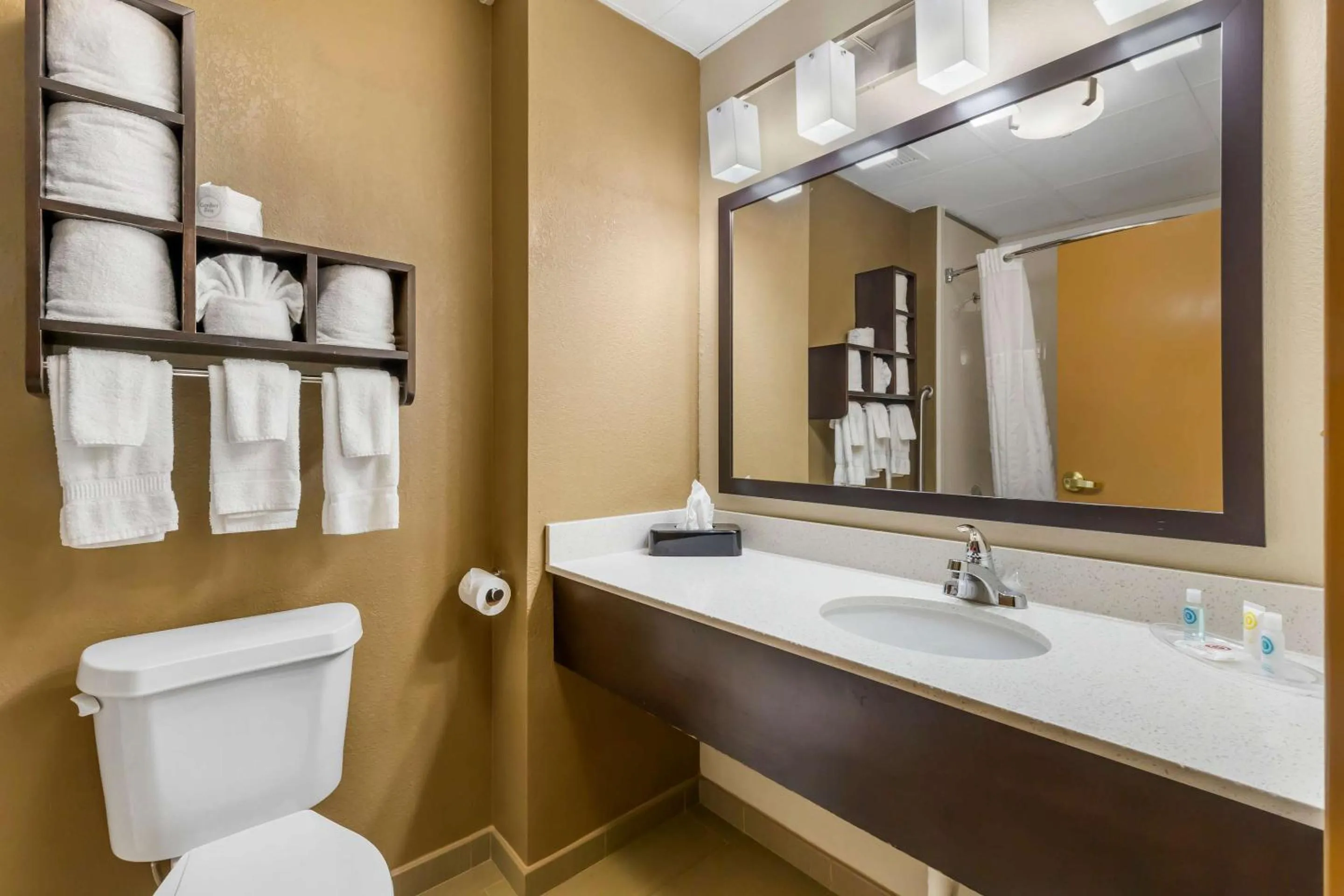 Bedroom in Comfort Suites Regency Park