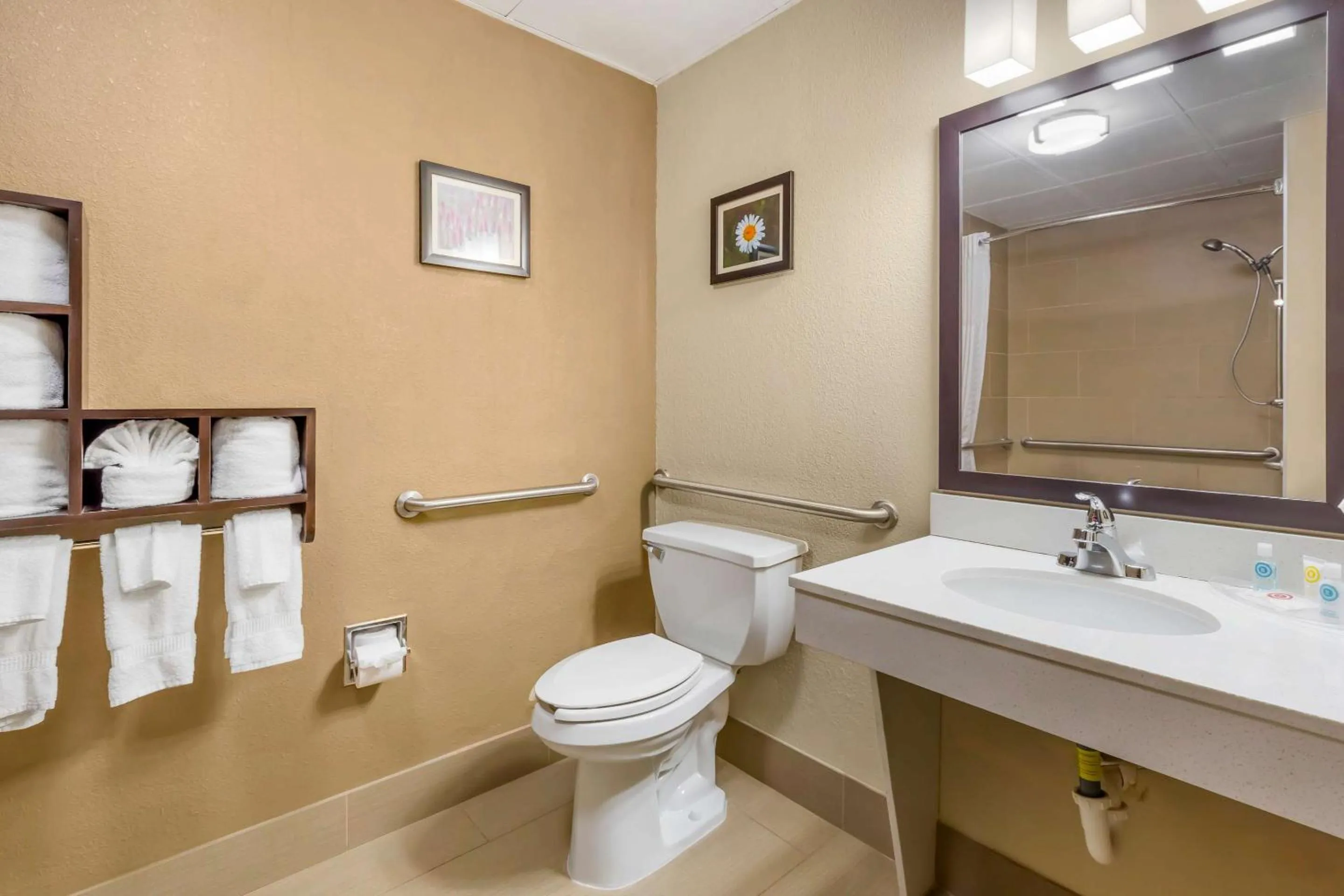 Bedroom in Comfort Suites Regency Park