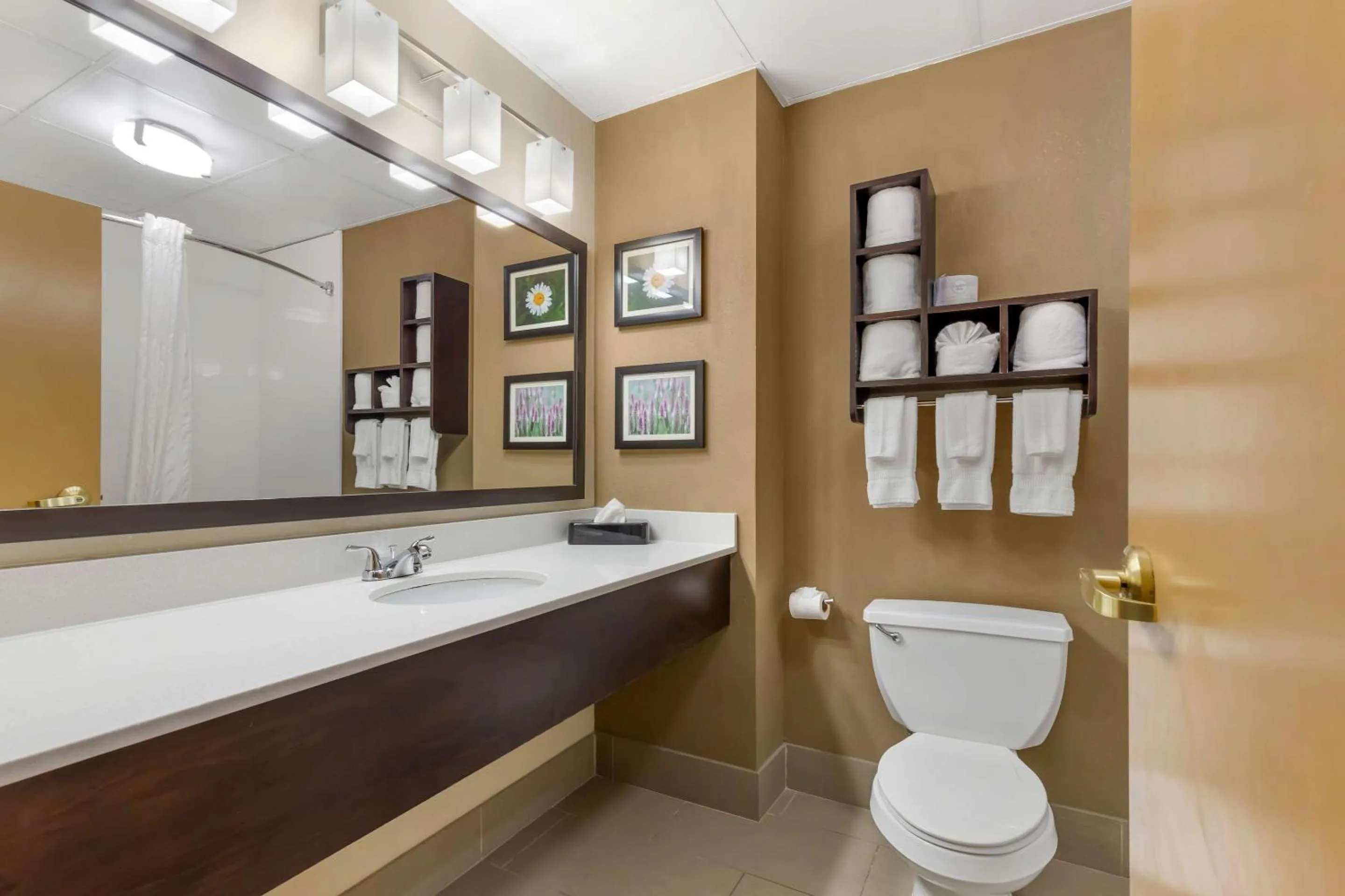 Bedroom in Comfort Suites Regency Park