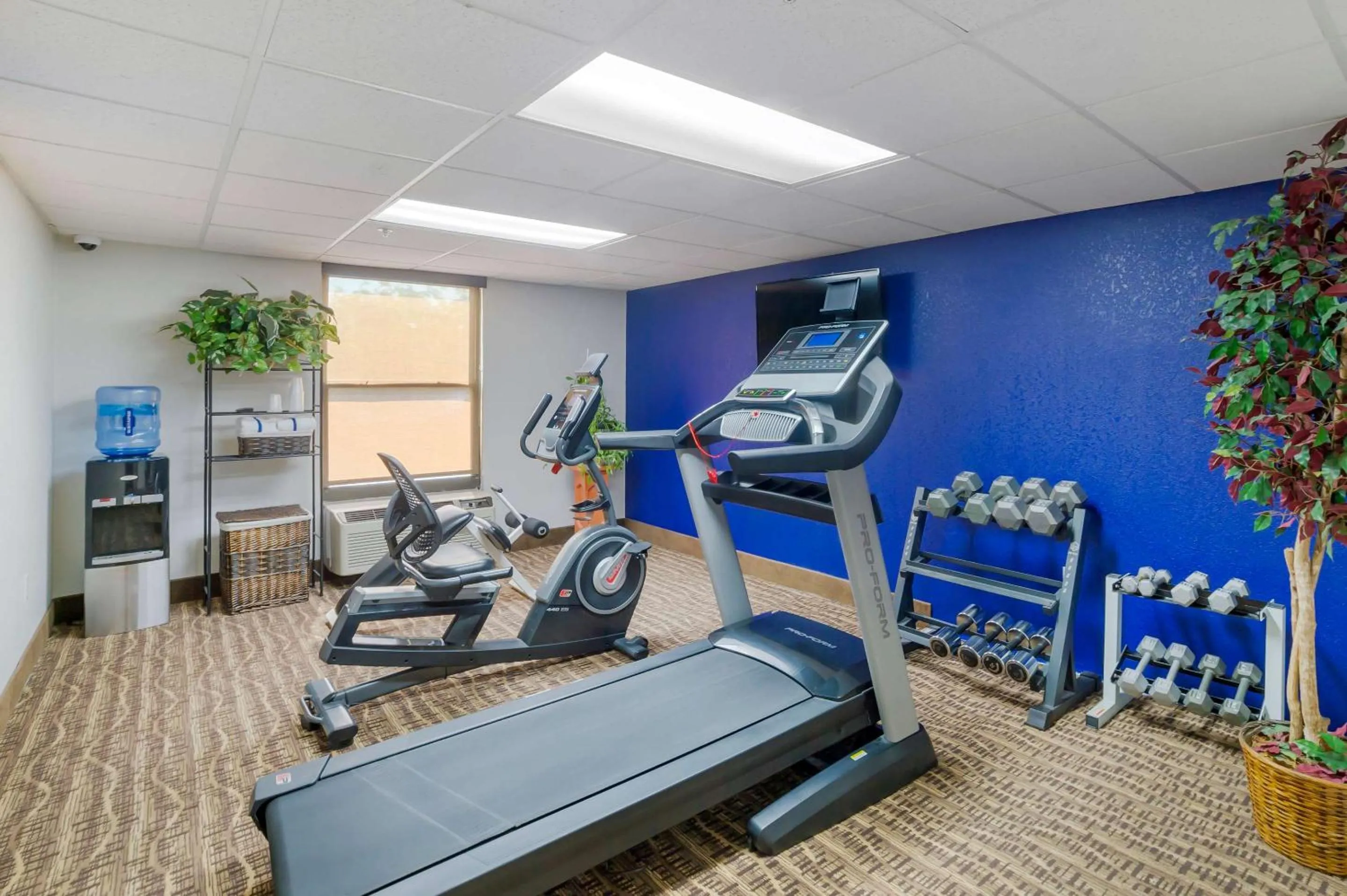 Fitness centre/facilities in Comfort Inn Asheville Airport