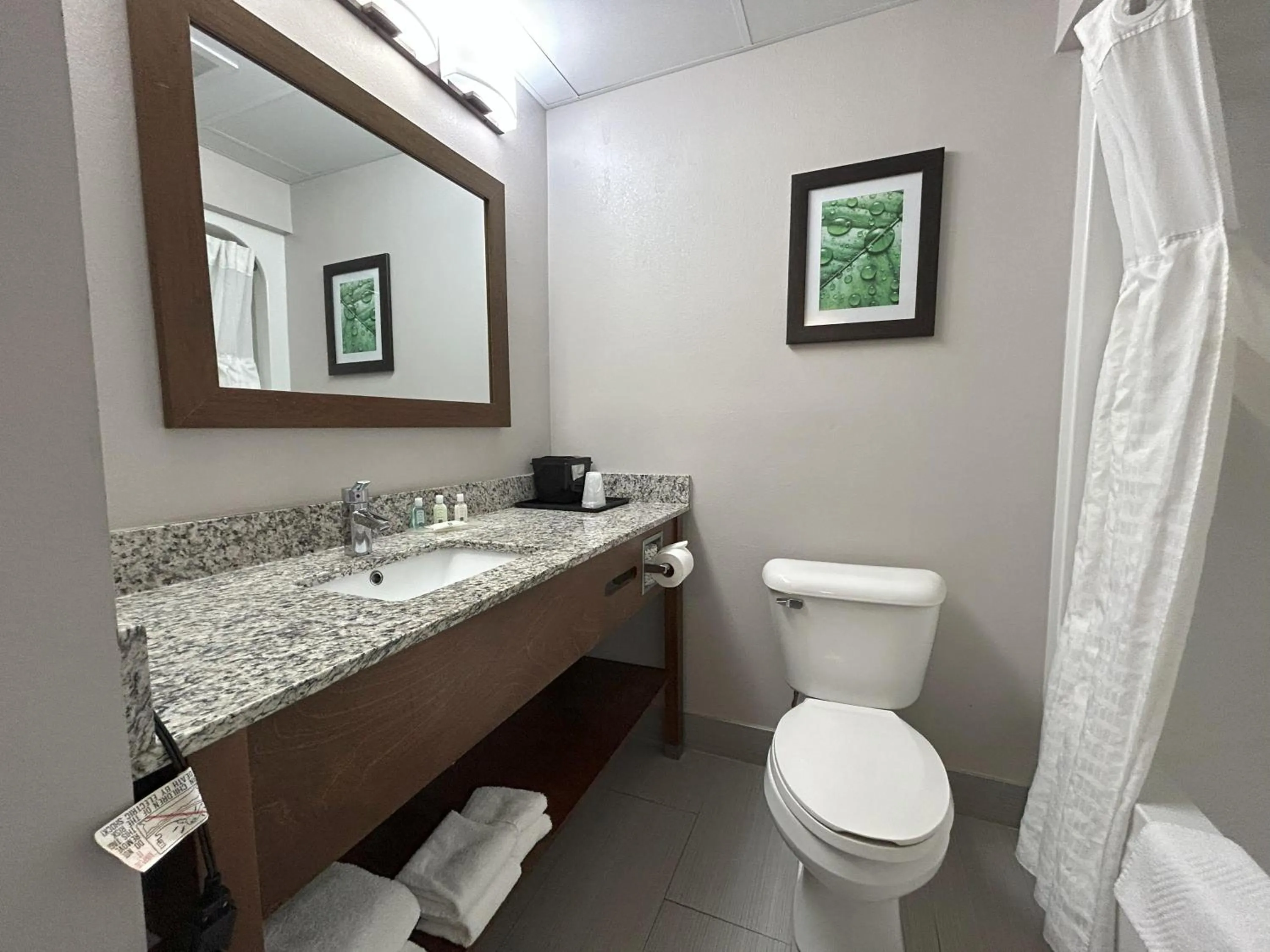 Quality Inn & Suites Tarboro - Kingsboro
