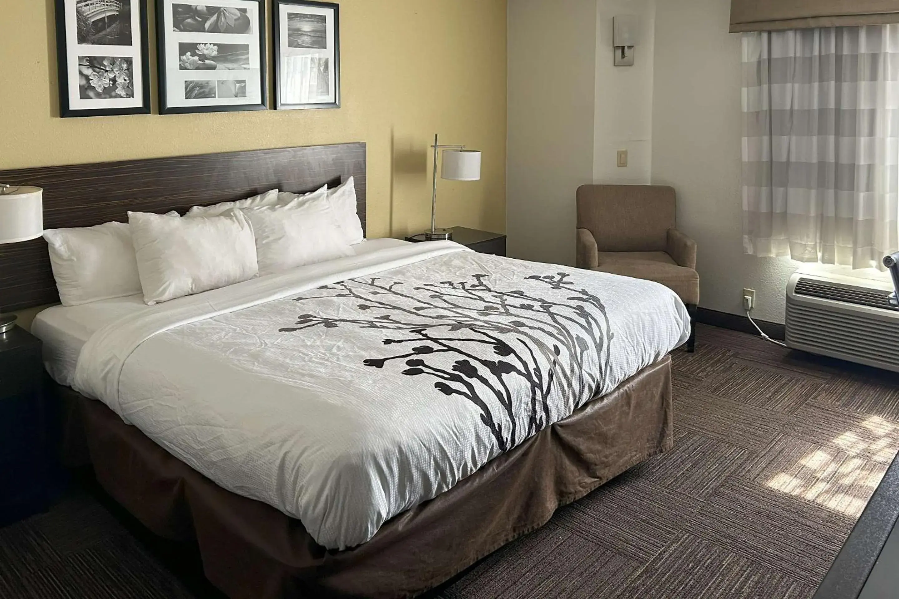 Bedroom, Bed in Sleep Inn Wilson near I-95 Bedroom, Bed in Sleep Inn Wilson near I-95