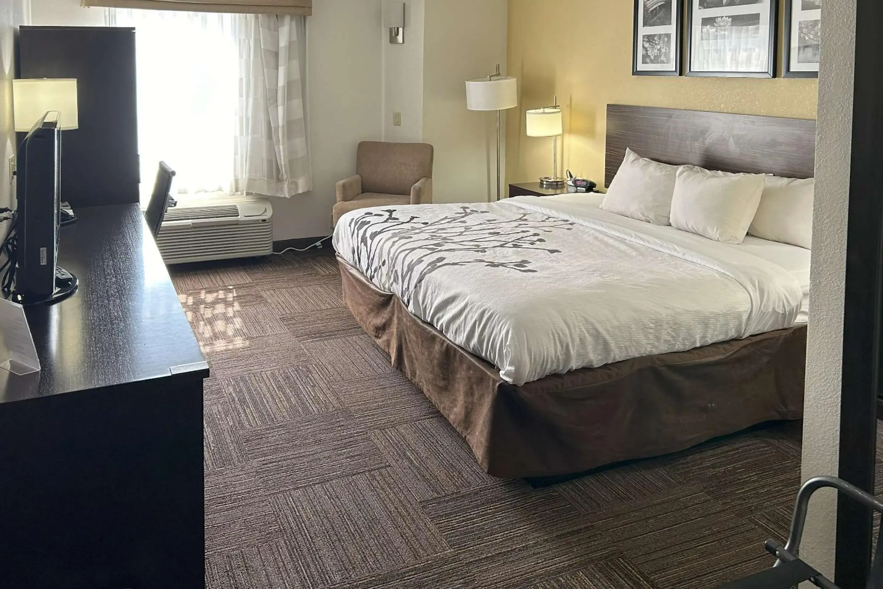 Bedroom, Bed in Sleep Inn Wilson near I-95 Bedroom, Bed in Sleep Inn Wilson near I-95