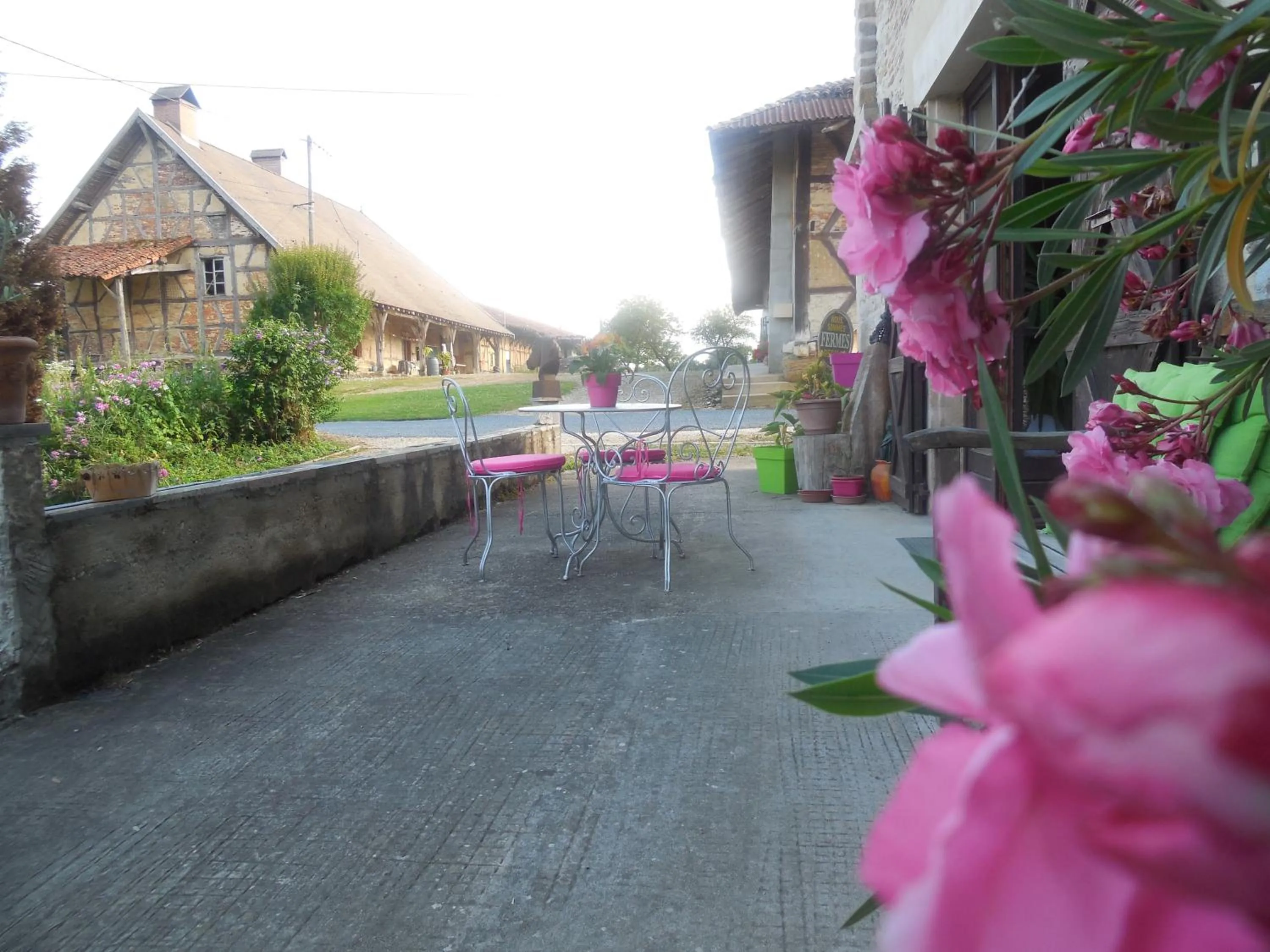 Drinks in Chambre d'Hôtes Familiale la Jument Grise