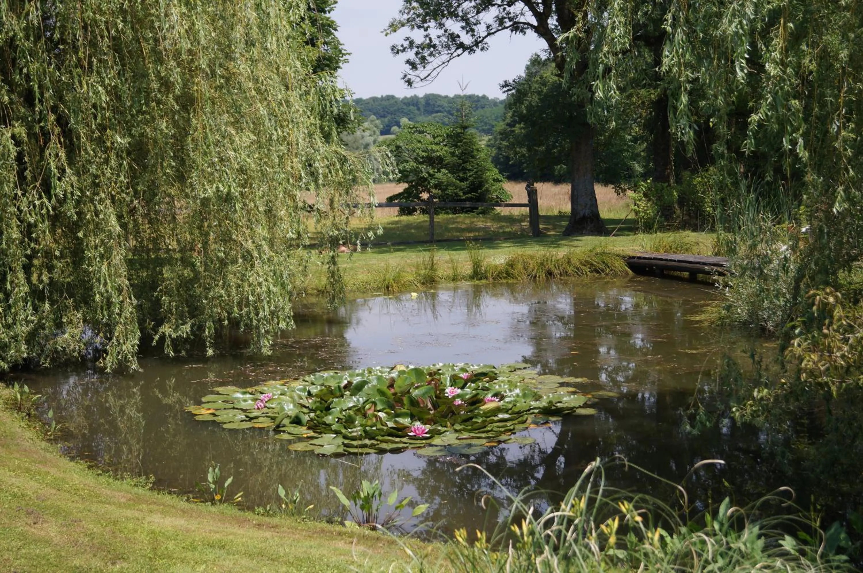 Garden view in Chambre d'Hôtes Familiale la Jument Grise