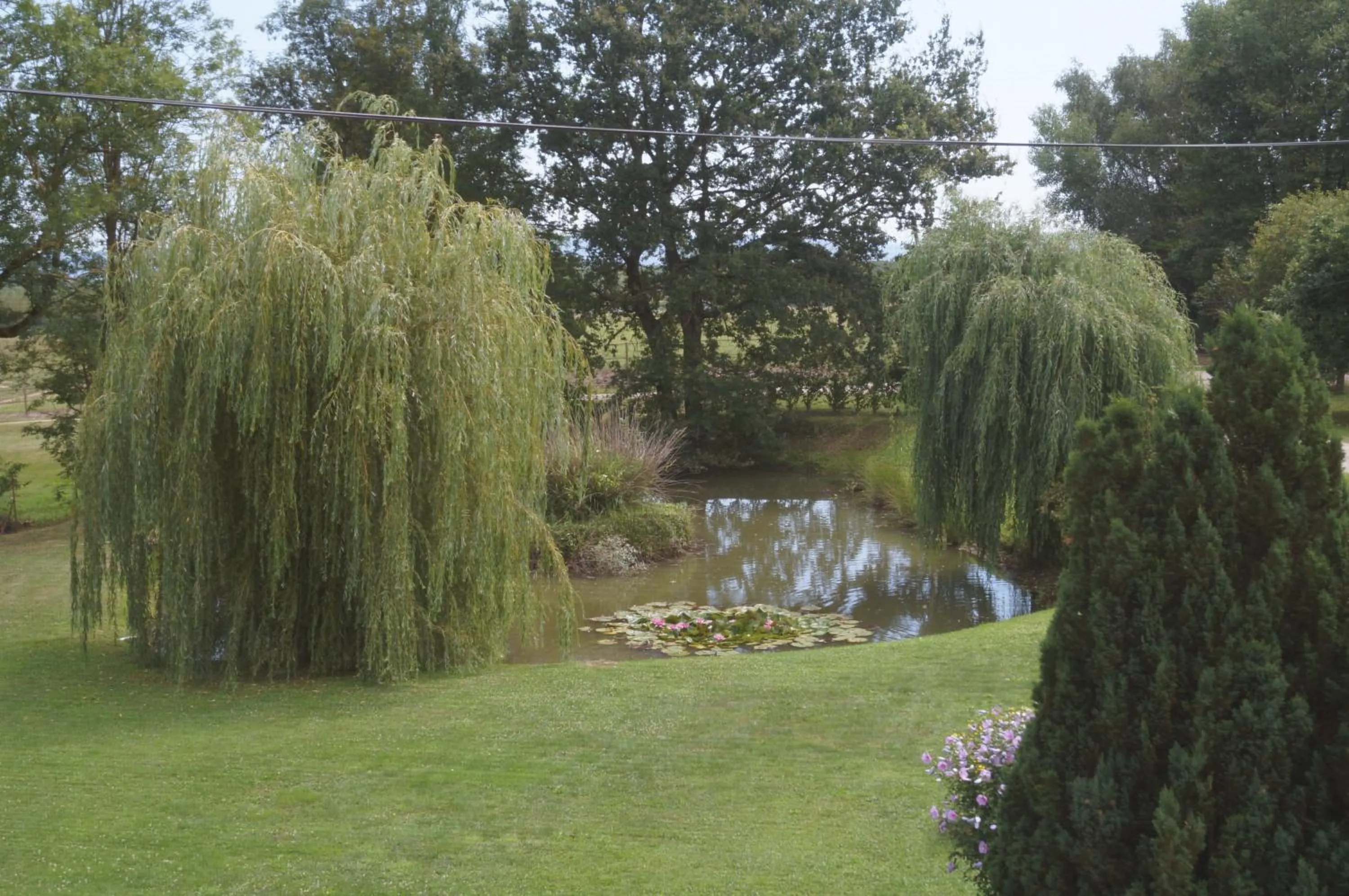 Garden view in Chambre d'Hôtes Familiale la Jument Grise