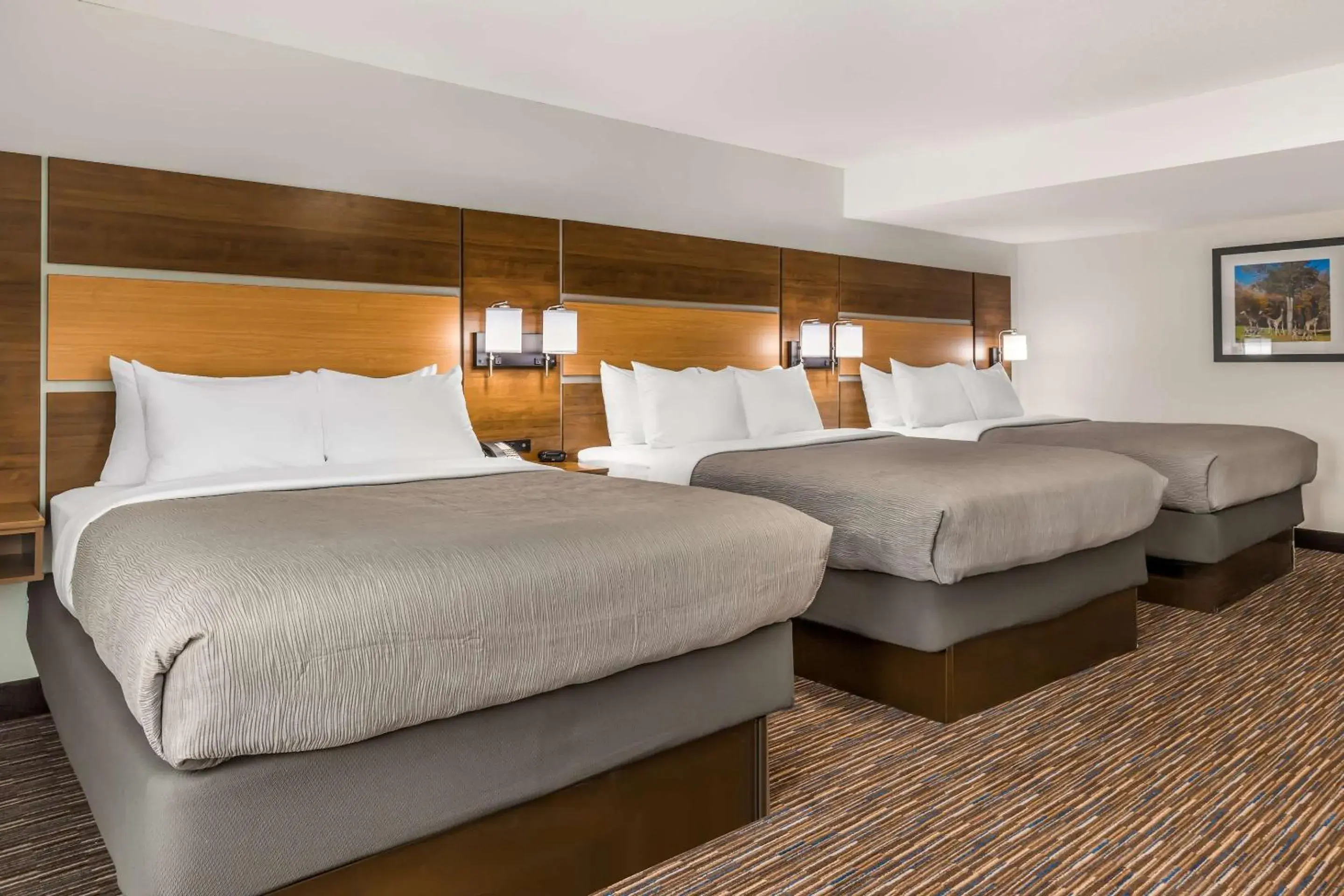 Bedroom, Bed in Quality Inn Asheboro South Bedroom, Bed in Quality Inn Asheboro South