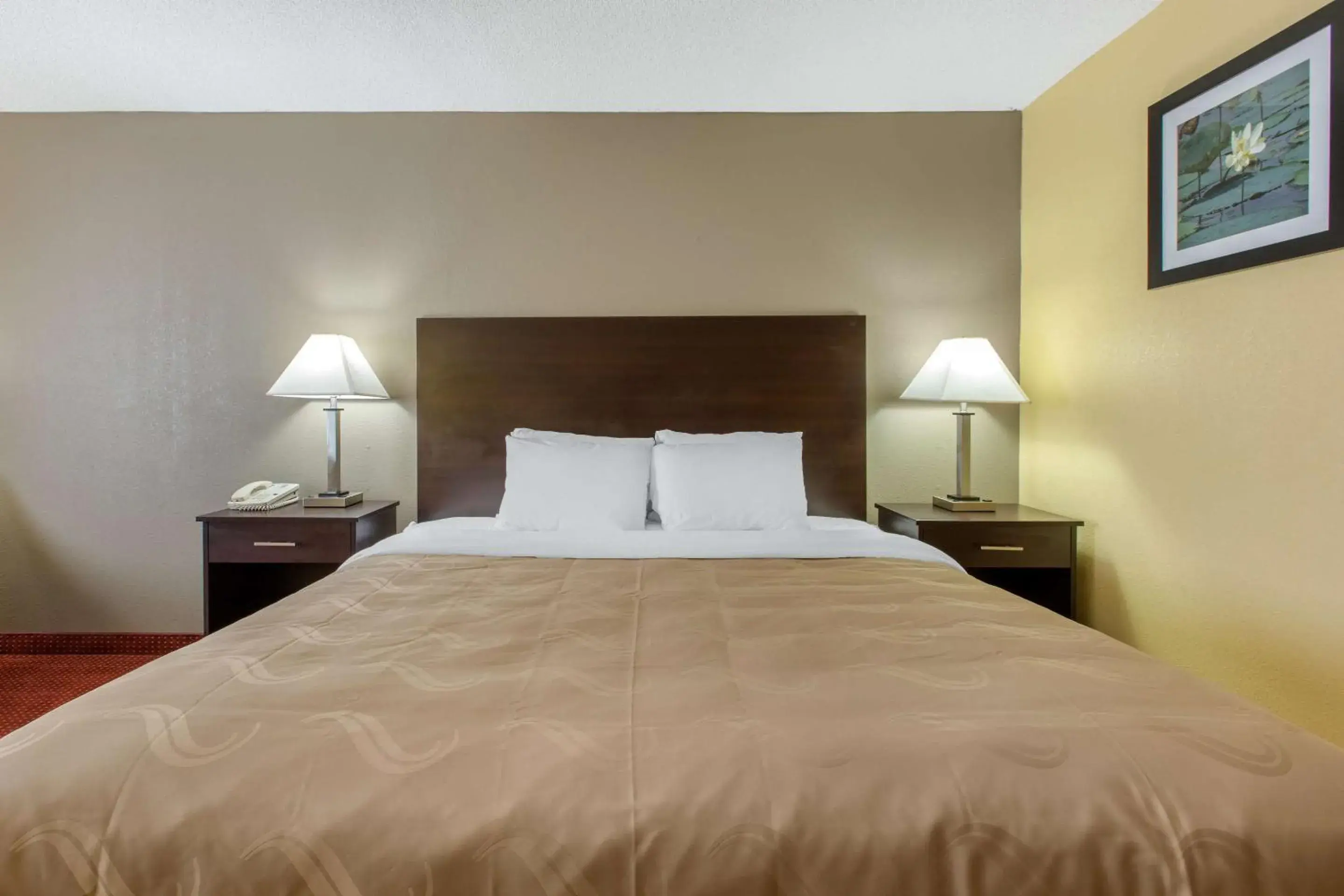 Bedroom, Bed in Quality Inn Williamston Bedroom, Bed in Quality Inn Williamston