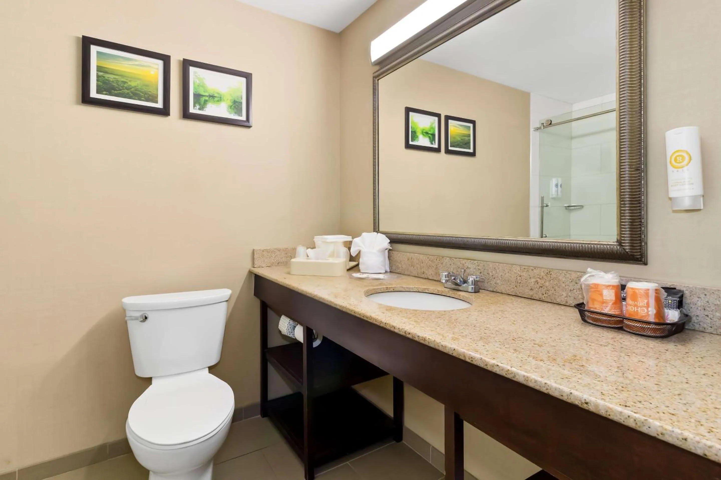 Bedroom in Comfort Suites Lumberton North