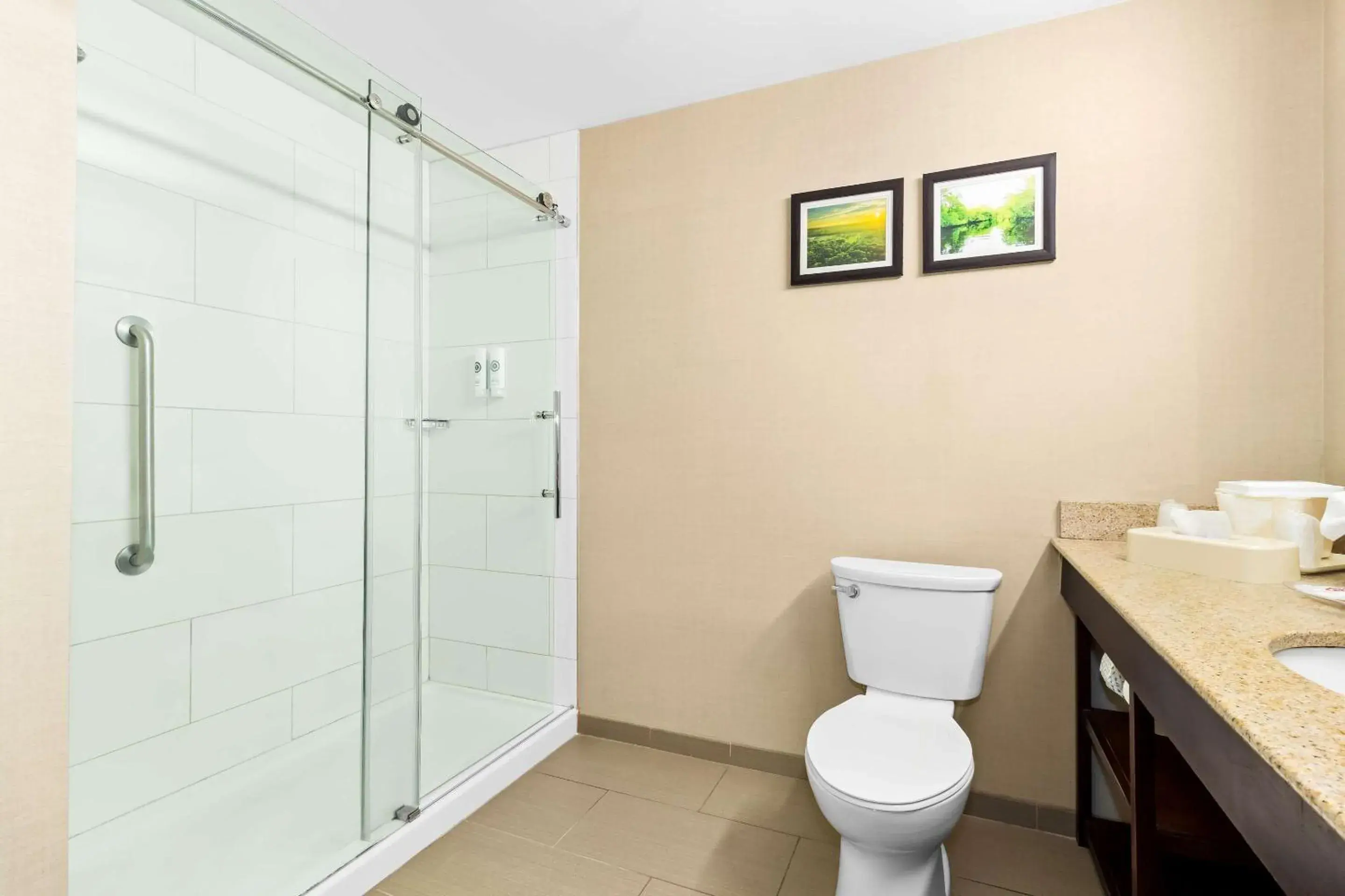 Bedroom in Comfort Suites Lumberton North Bedroom in Comfort Suites Lumberton North