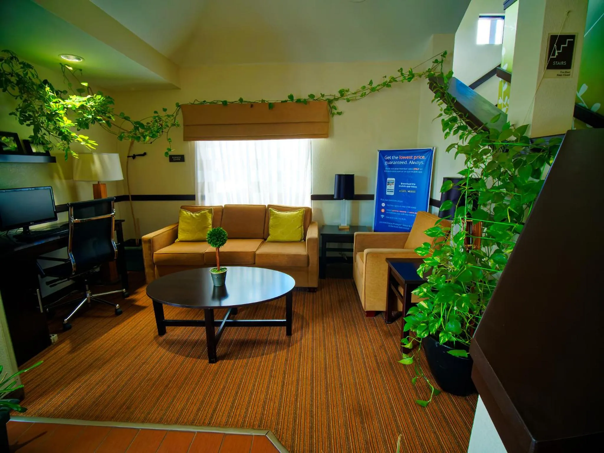 Business facilities in Sleep Inn Morganton Southeast