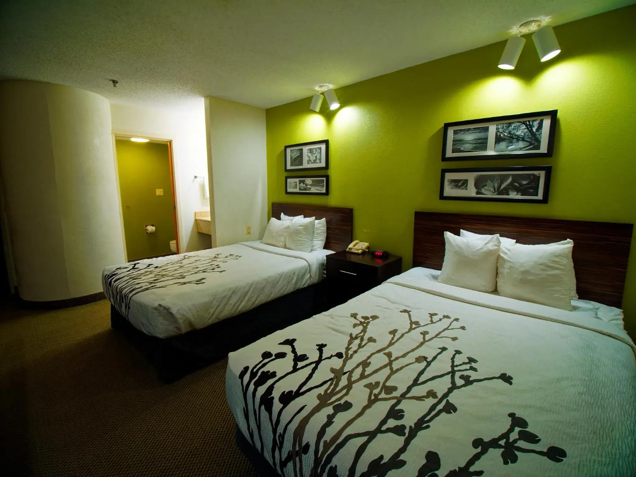 Double Room with Two Double Beds - Non-Smoking in Sleep Inn Double Room with Two Double Beds - Non-Smoking in Sleep Inn