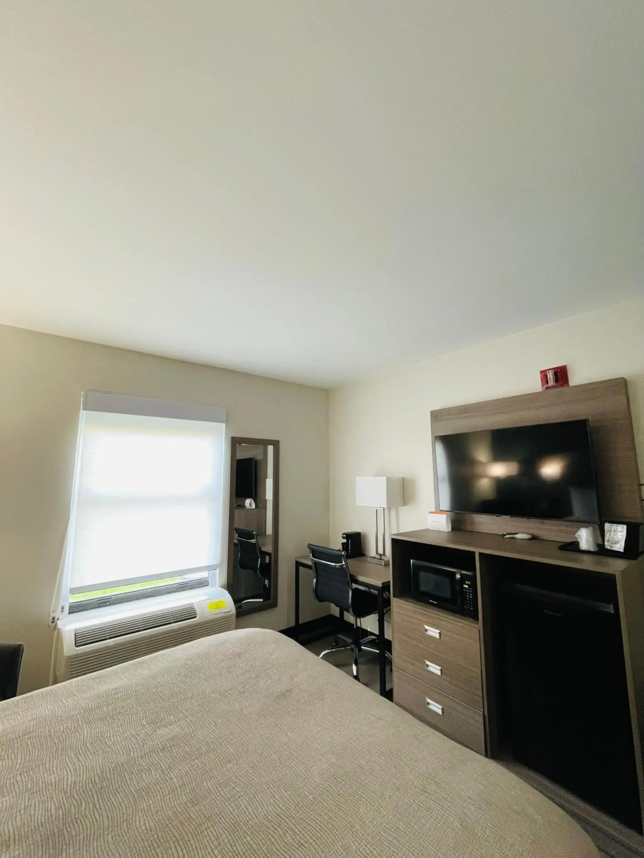 TV and multimedia, Bed in Quality Inn Washington NC TV and multimedia, Bed in Quality Inn Washington NC