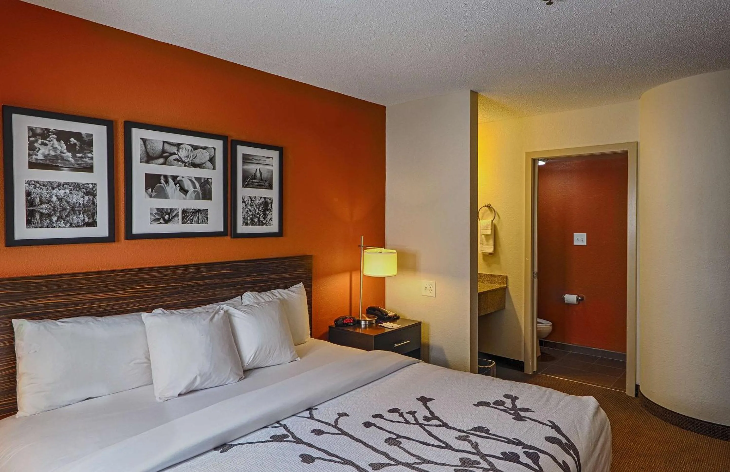 Bedroom, Bed in Sleep Inn & Suites Spring Lake - Fayetteville Near Fort Liberty