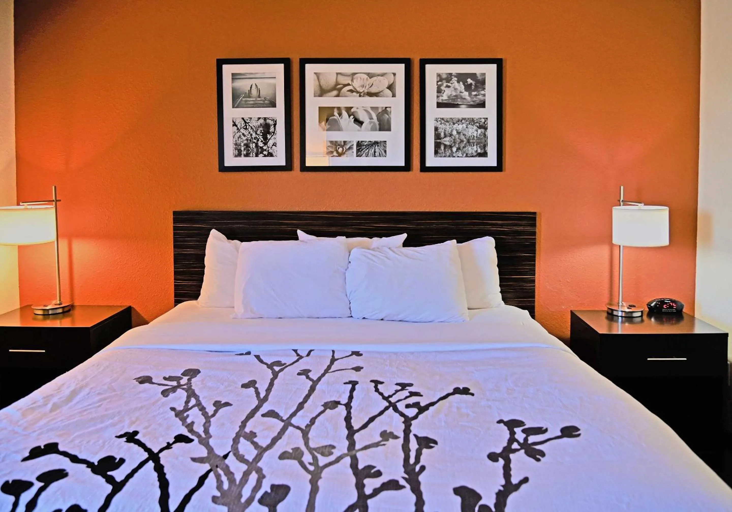 Bedroom, Bed in Sleep Inn & Suites Spring Lake - Fayetteville Near Fort Liberty