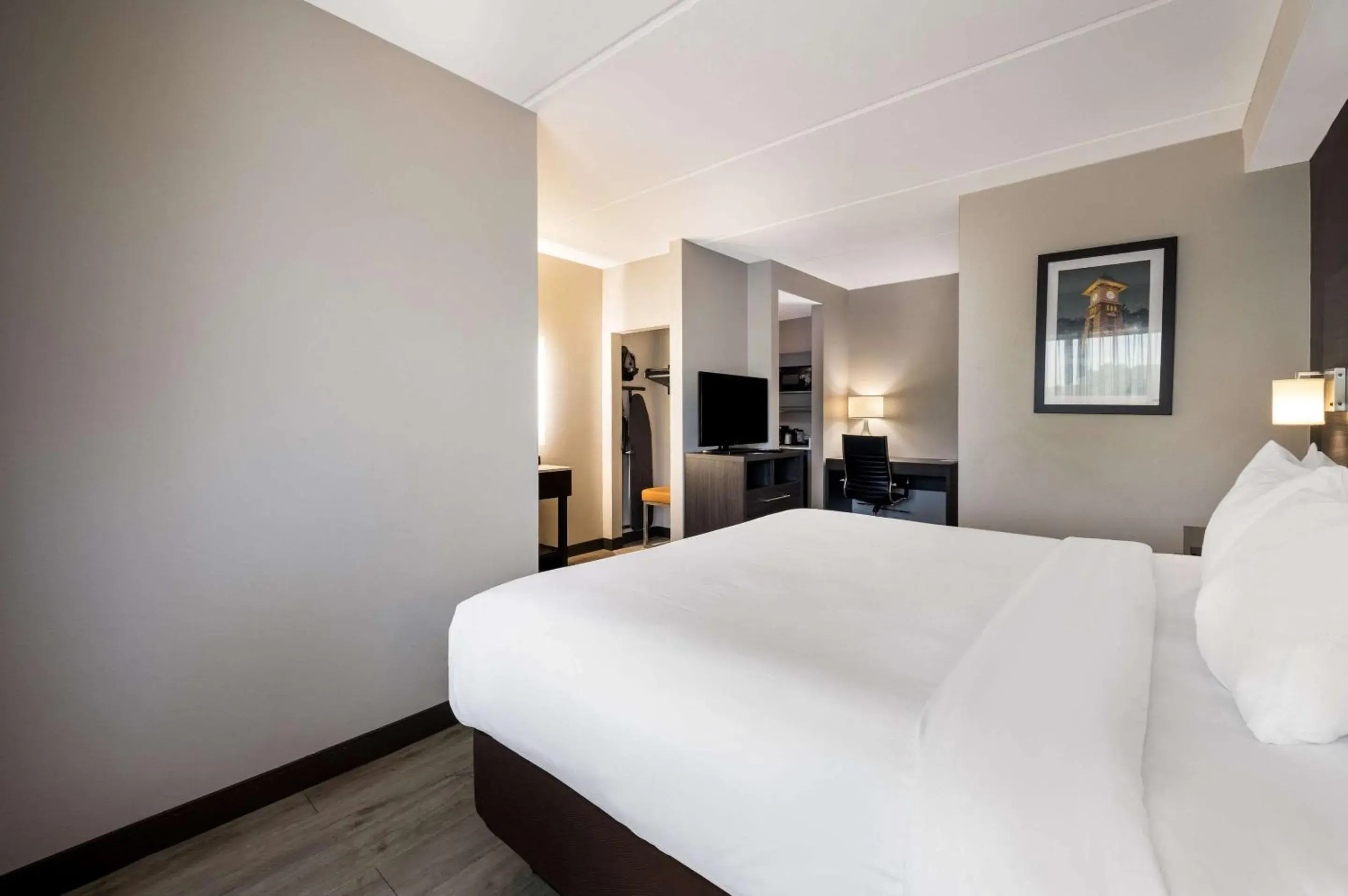 King Suite - Non-Smoking in Comfort Suites Northlake King Suite - Non-Smoking in Comfort Suites Northlake