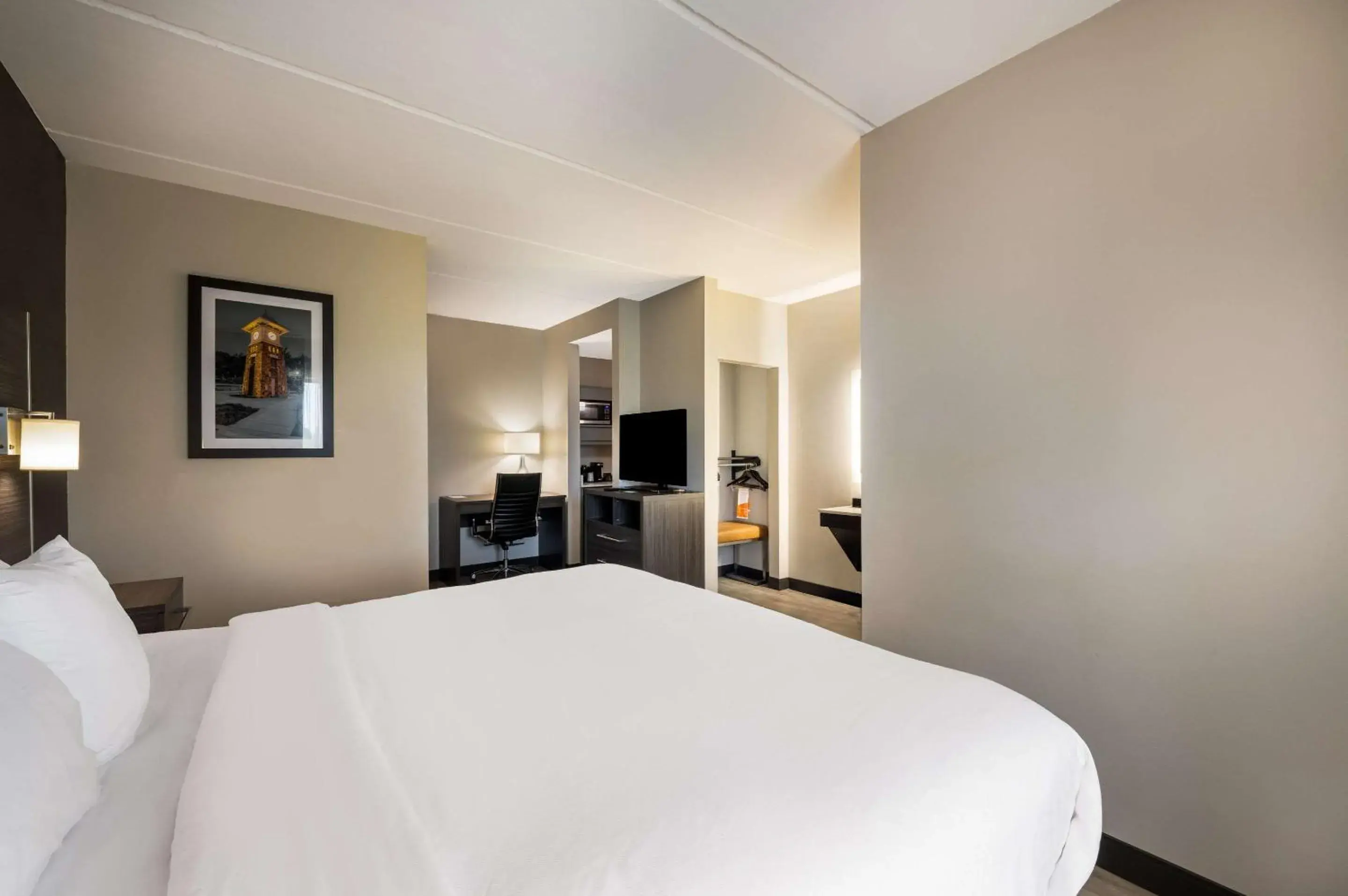 Business King Suite - Accessible/Non-Smoking in Comfort Suites Northlake Business King Suite - Accessible/Non-Smoking in Comfort Suites Northlake