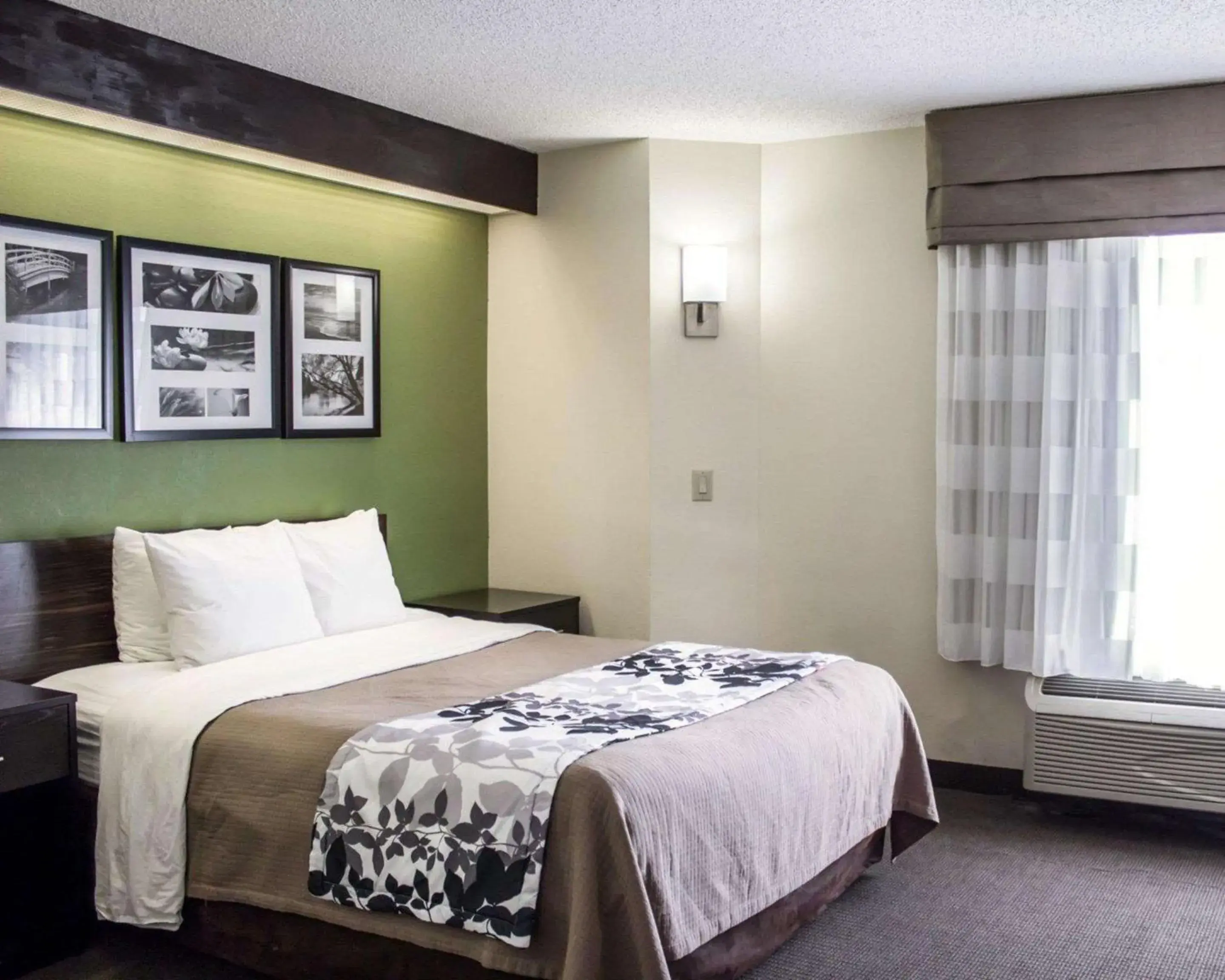 Queen Room - Non-Smoking in Sleep Inn Garner - Clayton Queen Room - Non-Smoking in Sleep Inn Garner - Clayton