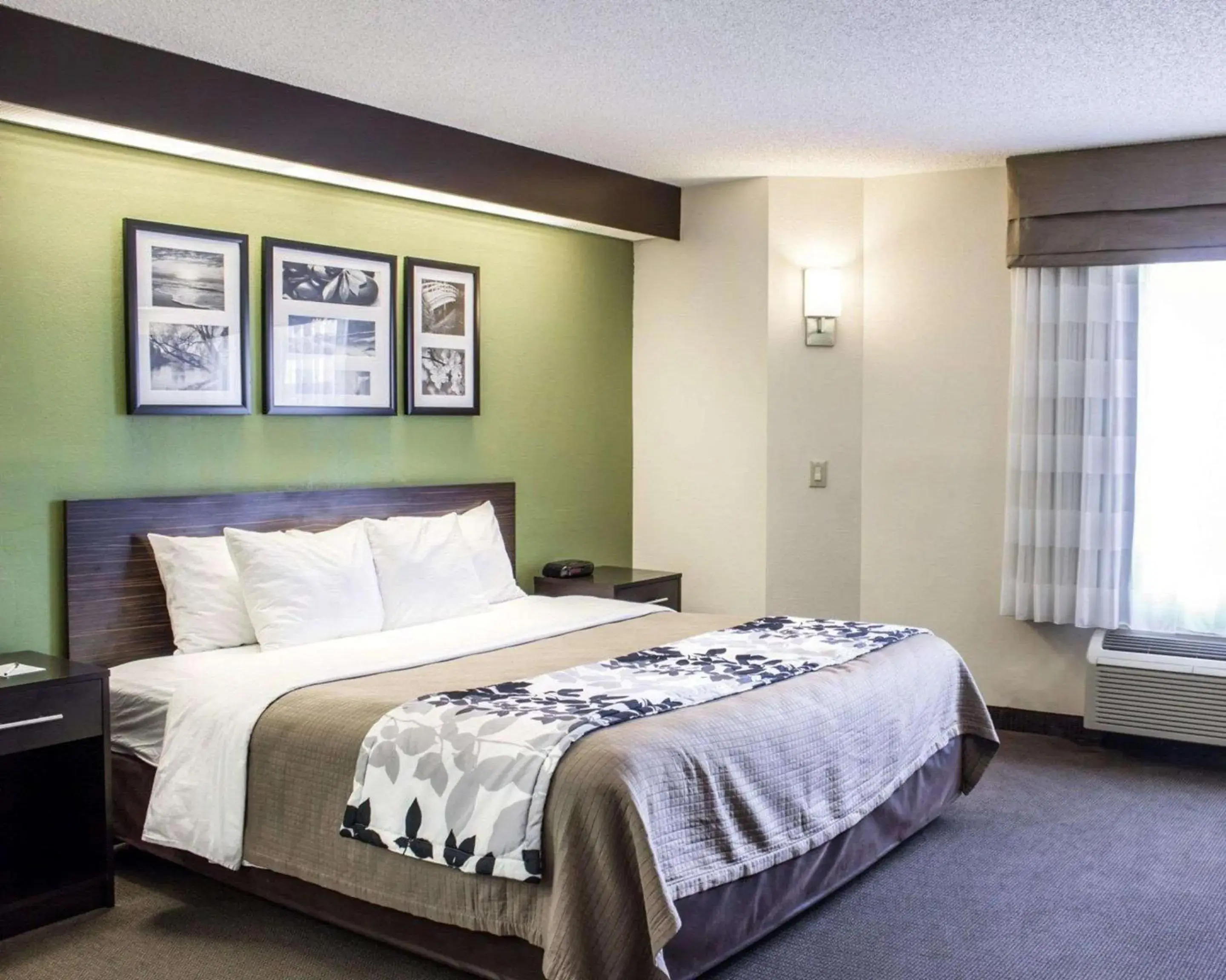 Photo of the whole room, Bed in Sleep Inn Garner - Clayton Photo of the whole room, Bed in Sleep Inn Garner - Clayton