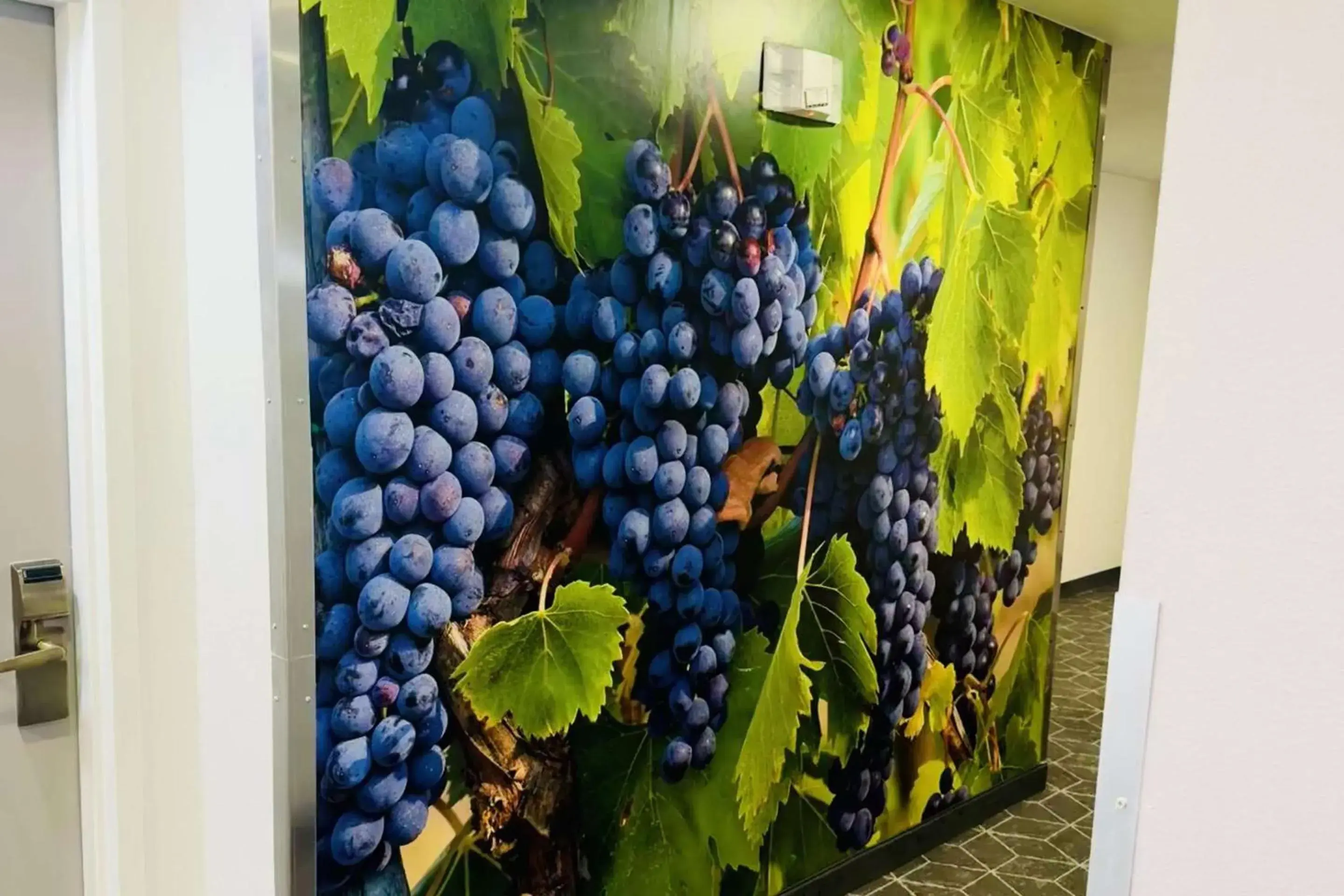 Lobby or reception in Clarion Pointe Albemarle Lobby or reception in Clarion Pointe Albemarle