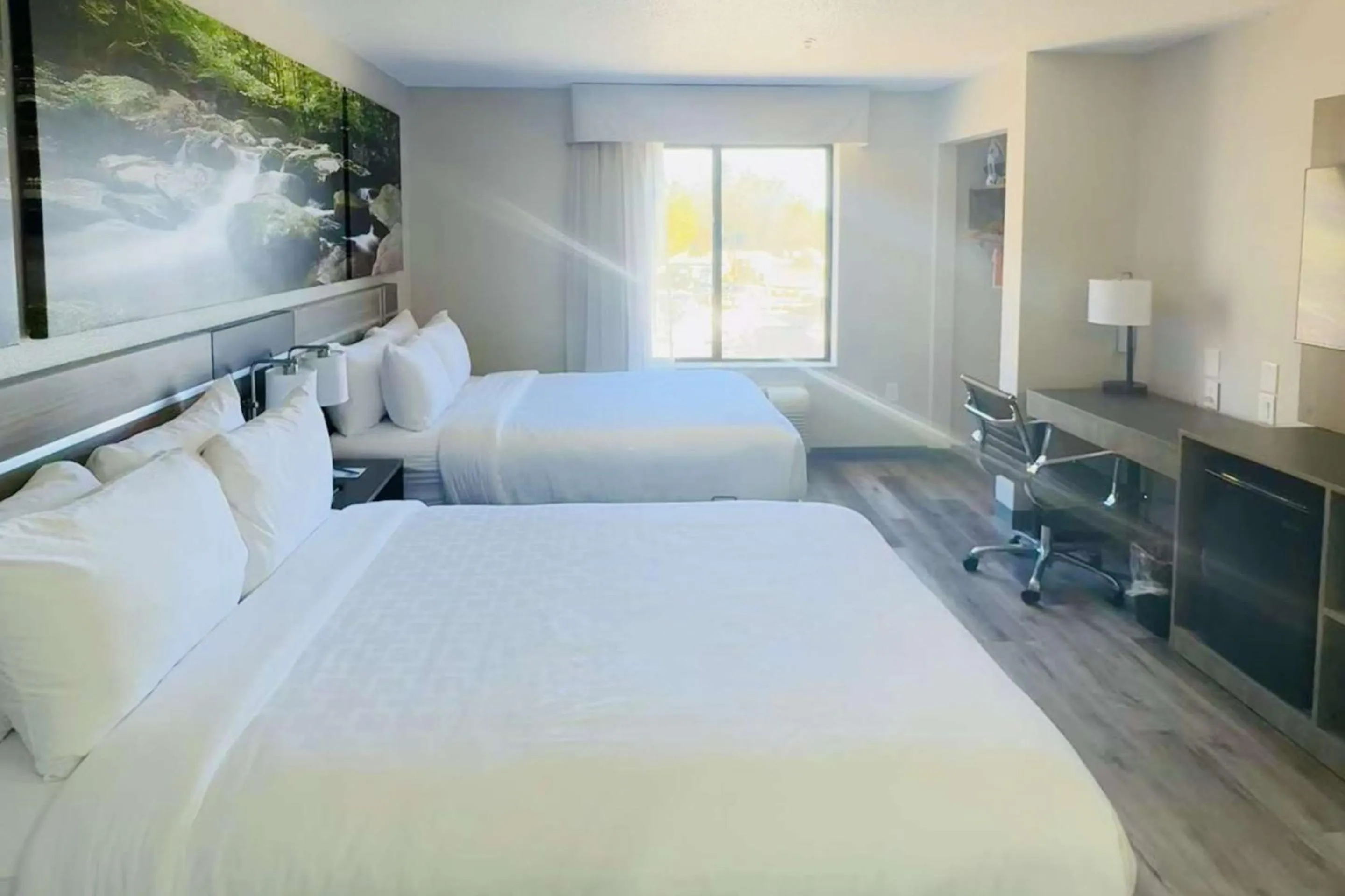 Bedroom, Bed in Clarion Pointe Albemarle