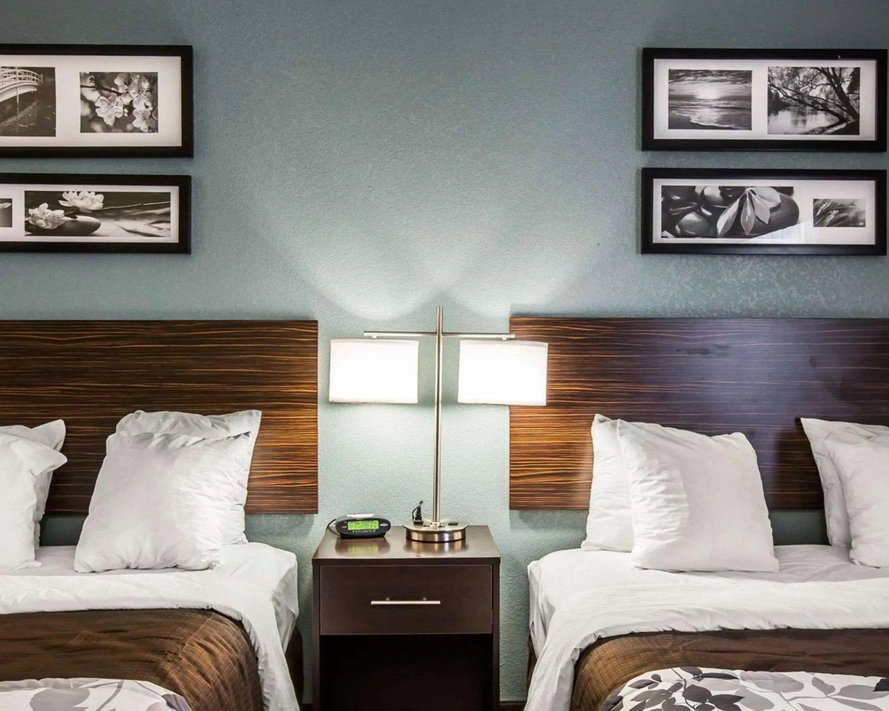 Bedroom, Bed in Sleep Inn Greensboro Airport Bedroom, Bed in Sleep Inn Greensboro Airport