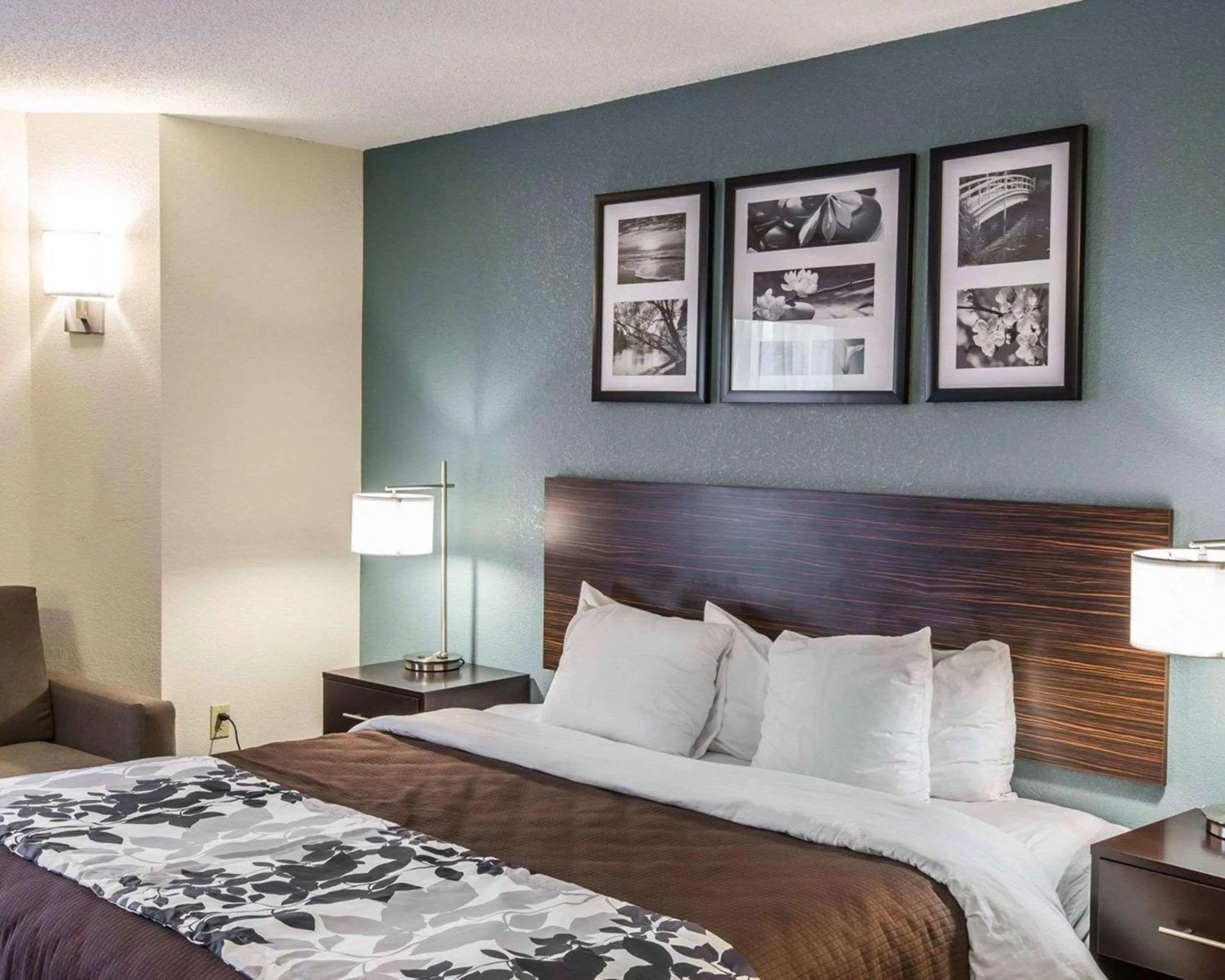 Bedroom, Bed in Sleep Inn Greensboro Airport