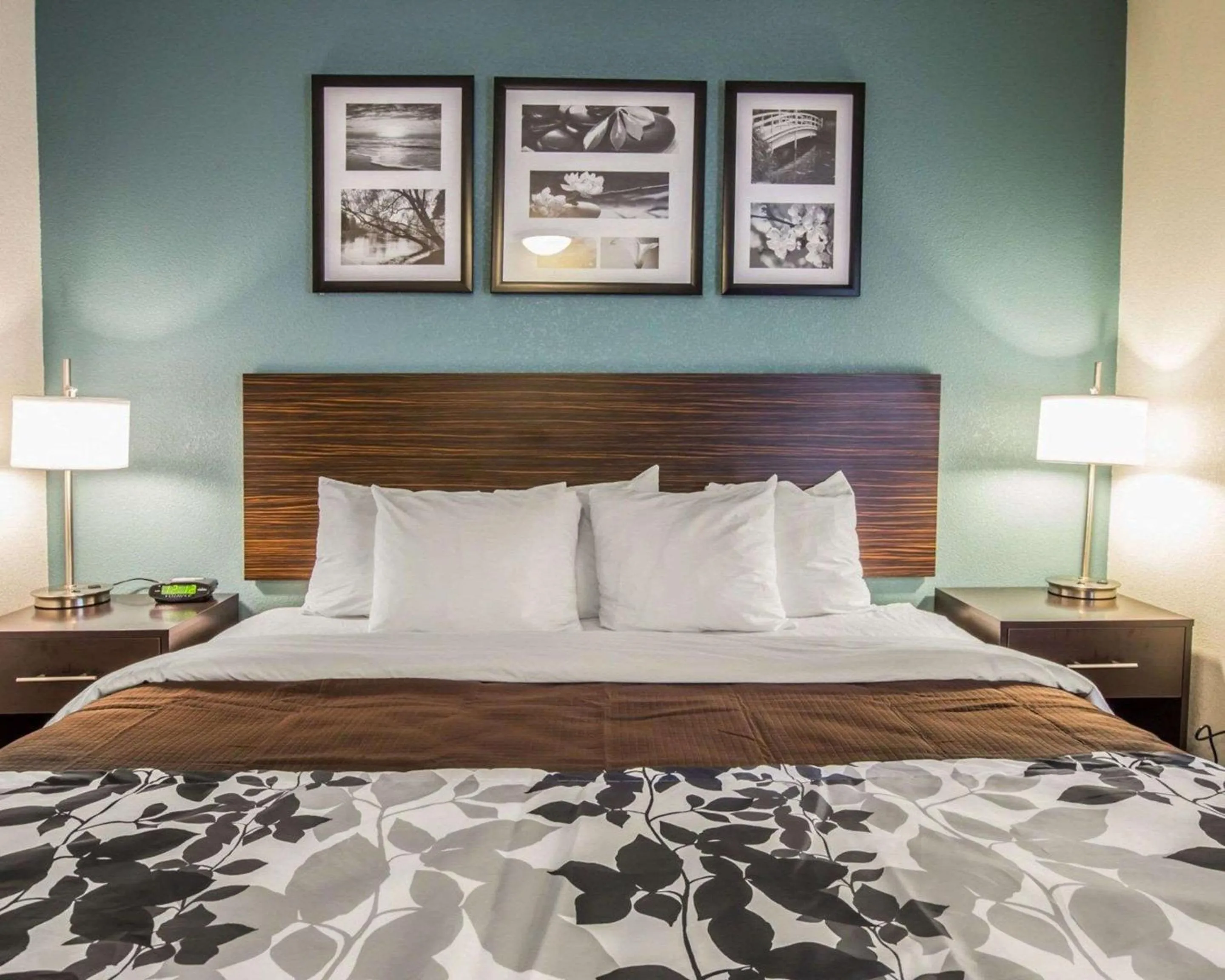 Bedroom, Bed in Sleep Inn Greensboro Airport