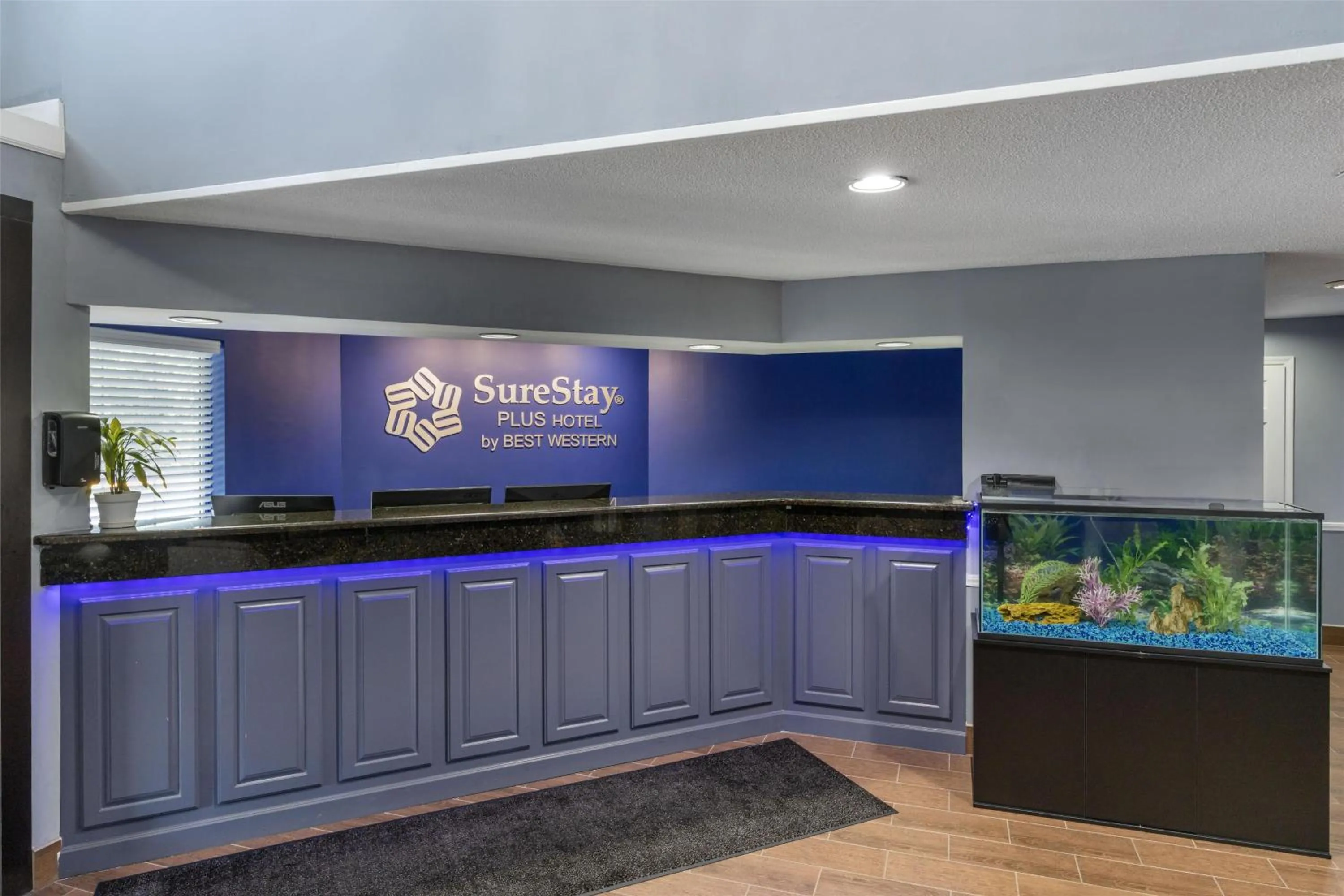 Lobby or reception in SureStay Plus Hotel by Best Western Asheboro