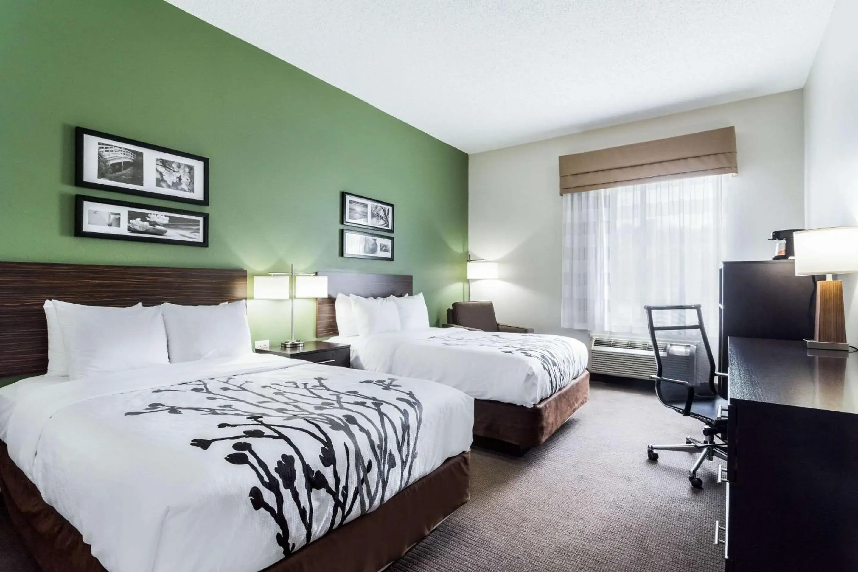 Photo of the whole room, Bed in Sleep Inn & Suites Smithfield near I-95 Photo of the whole room, Bed in Sleep Inn & Suites Smithfield near I-95