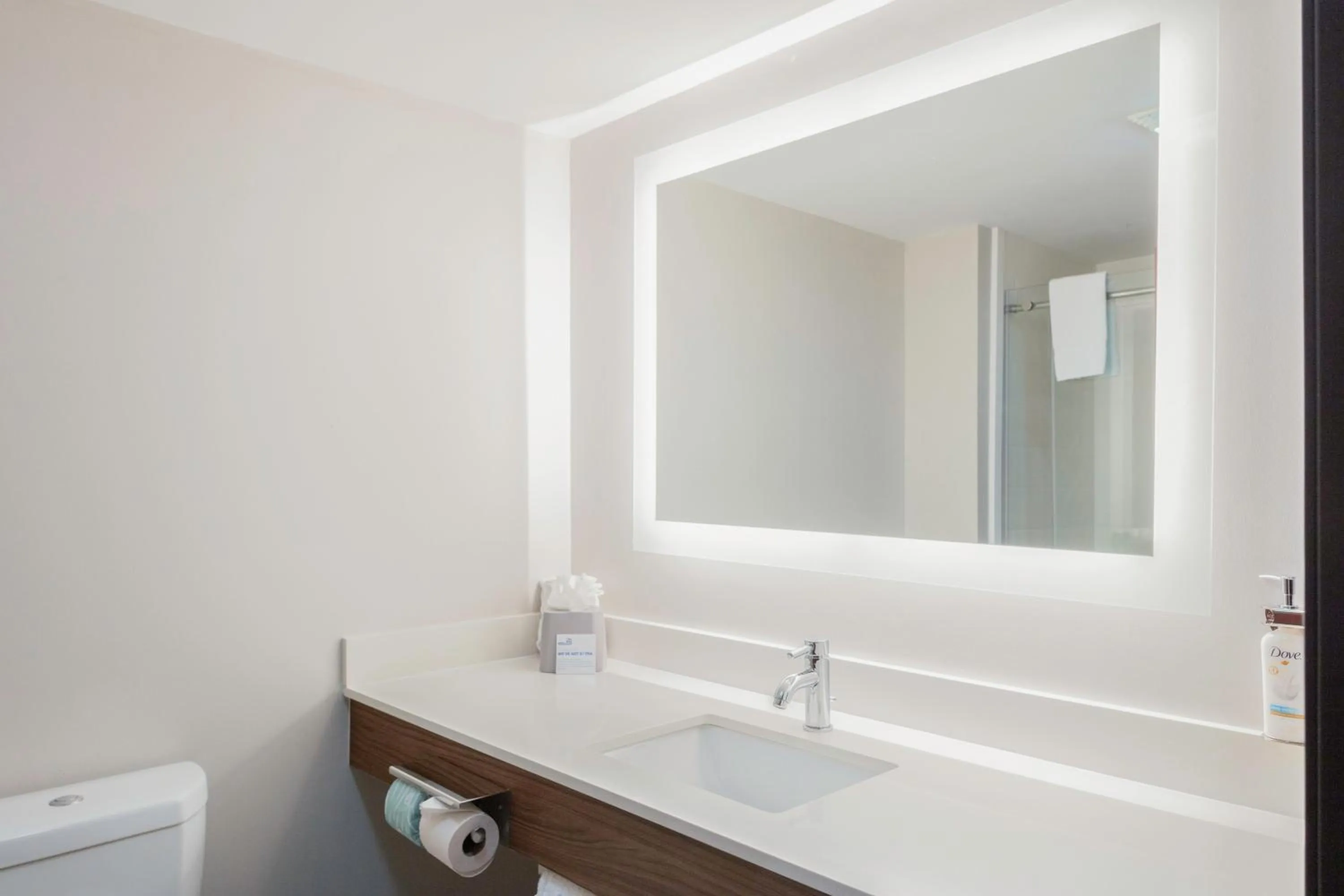 Bathroom in Holiday Inn Express & Suites Roanoke Rapids by IHG