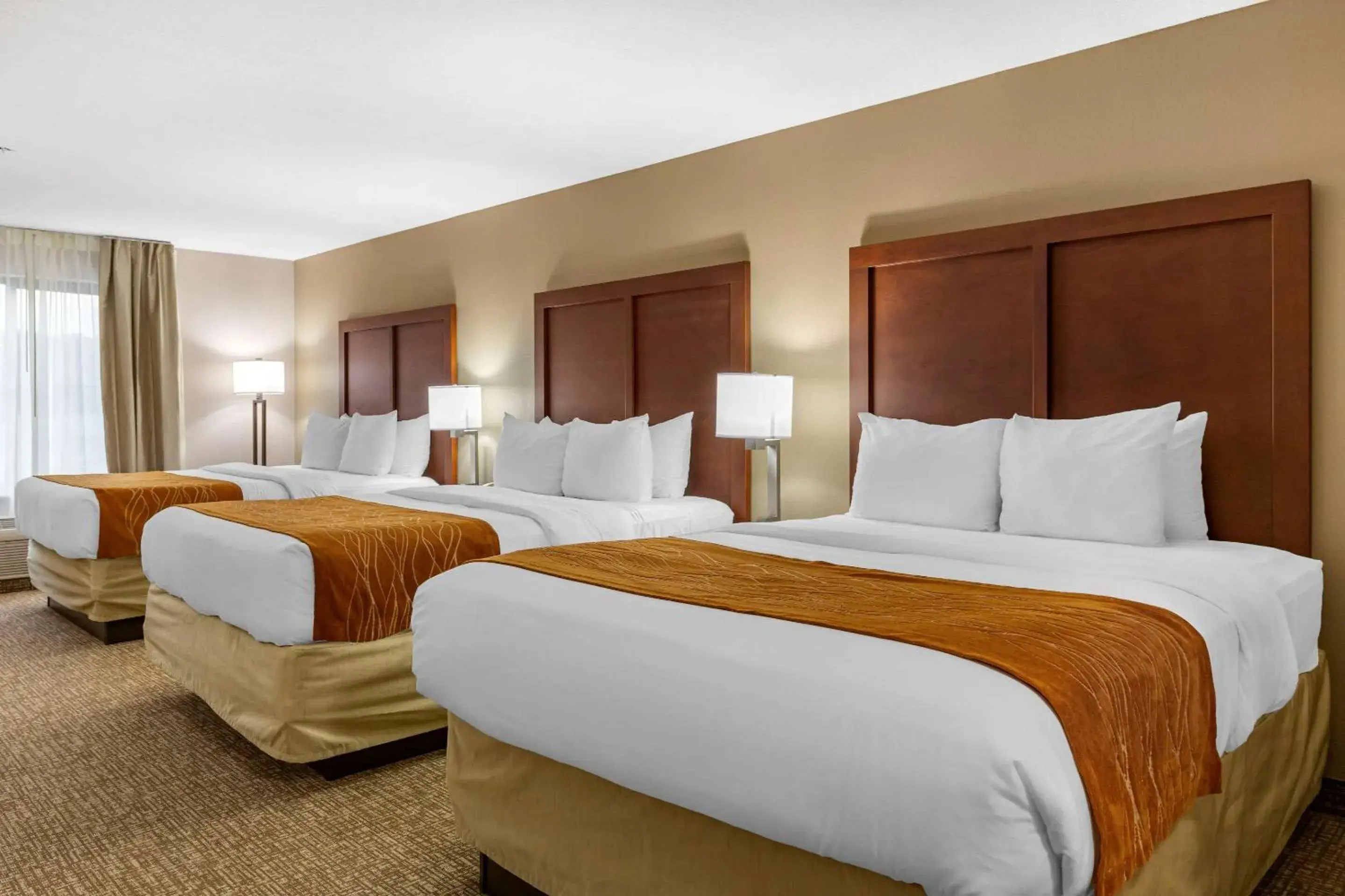 Photo of the whole room in Comfort Inn Smithfield near I-95 Photo of the whole room in Comfort Inn Smithfield near I-95