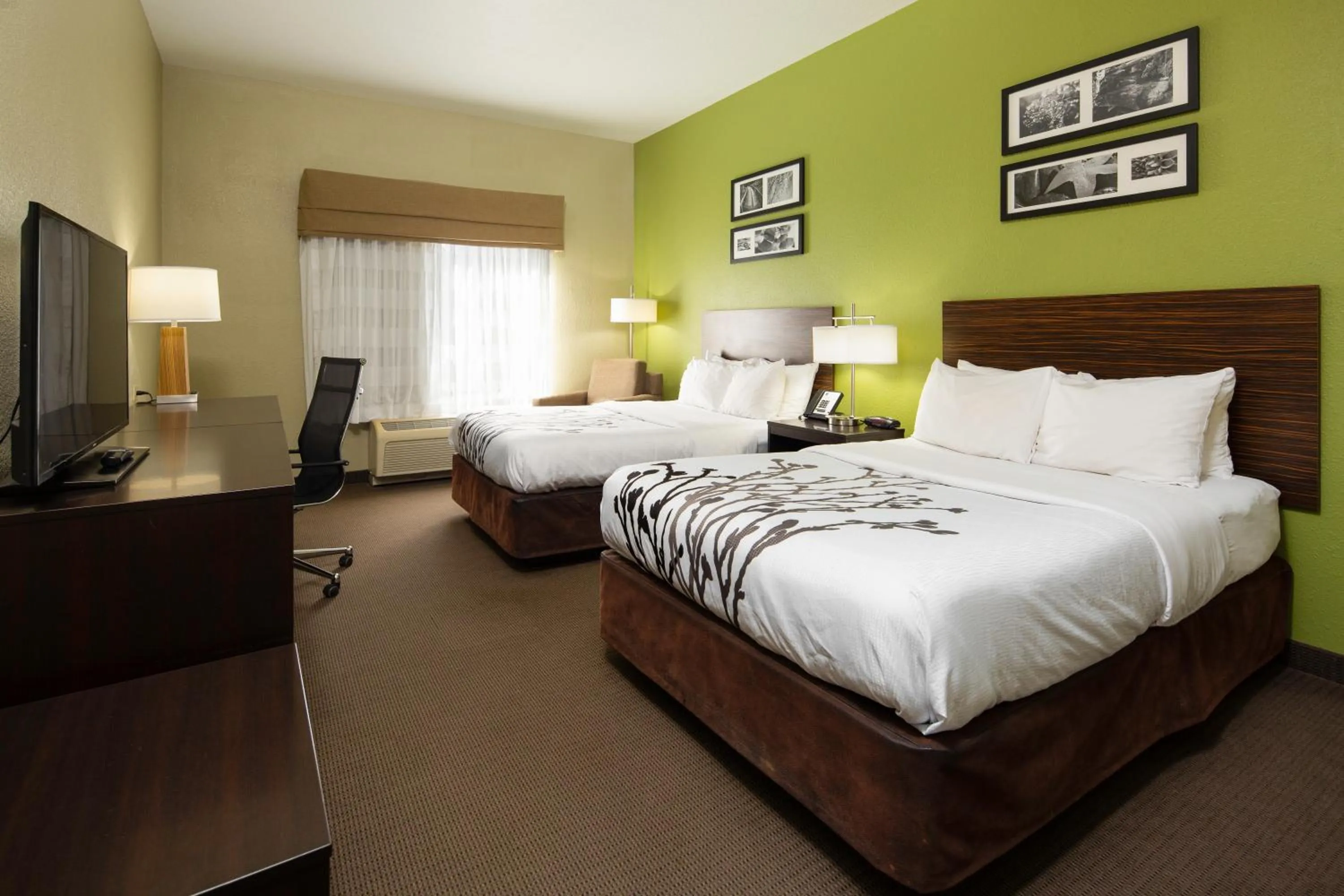 TV and multimedia, Bed in Sleep Inn Boone University Area