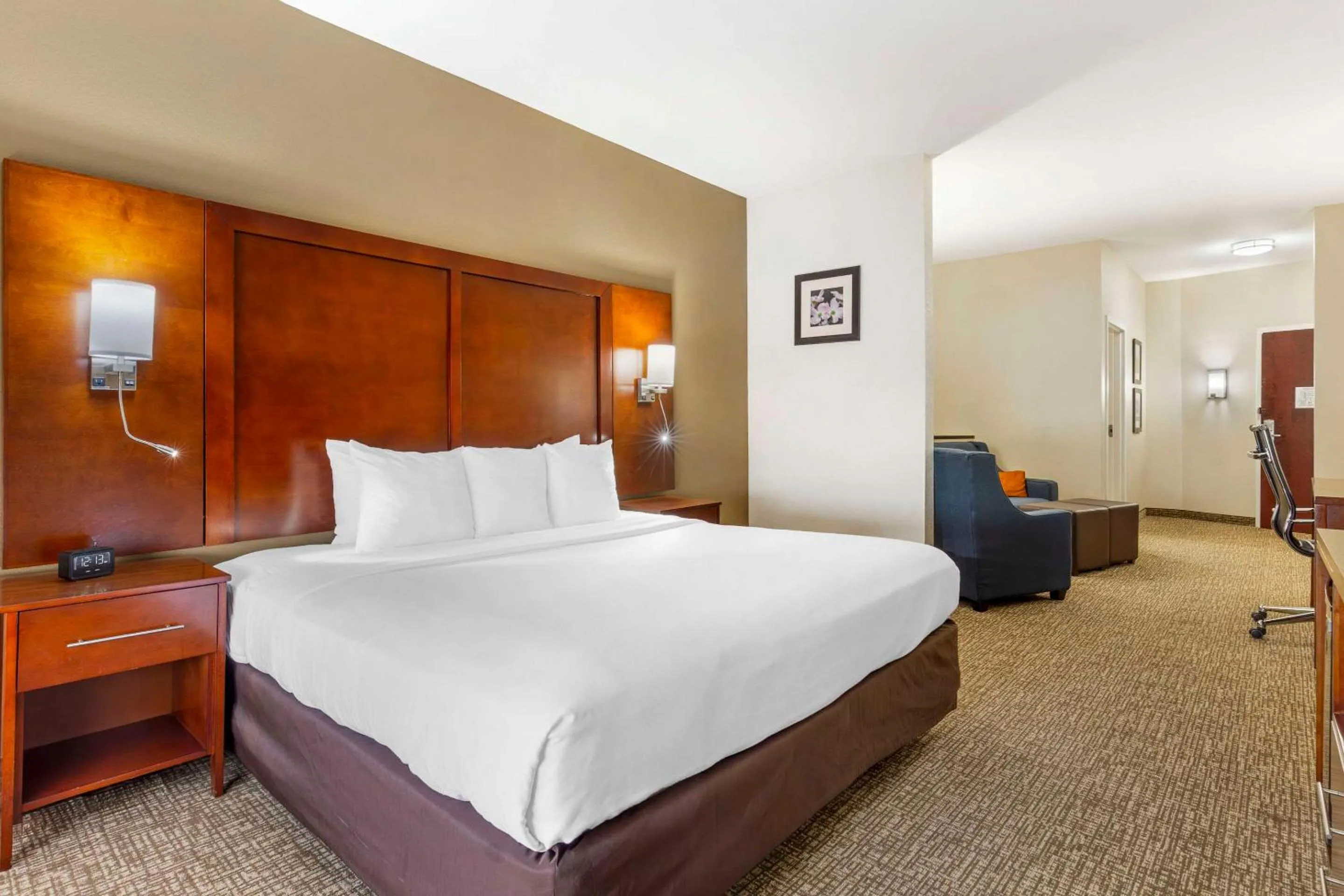 Bedroom, Bed in Comfort Suites Wilson - I - 95