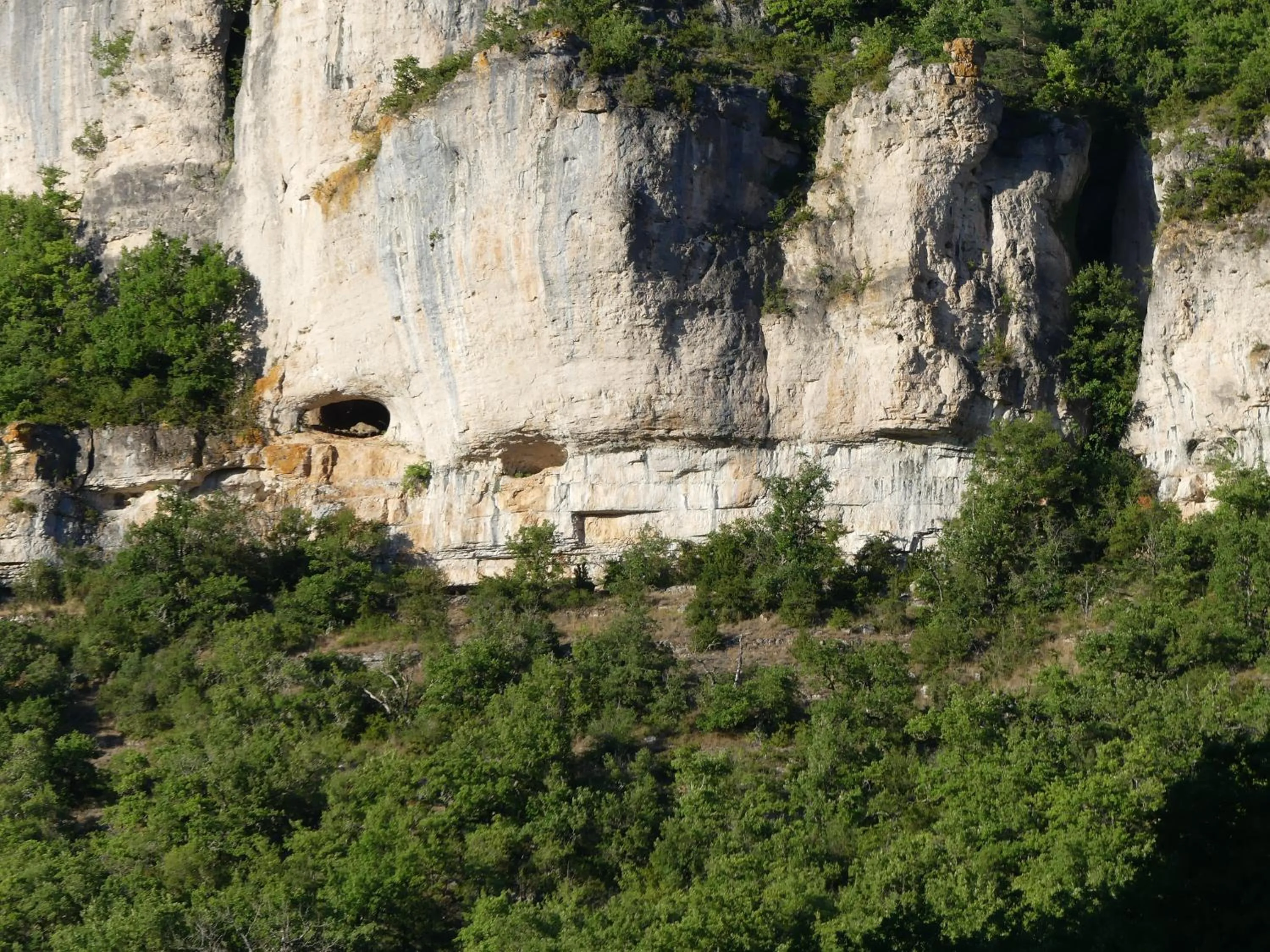Natural landscape in Les chambres de la Dourbie