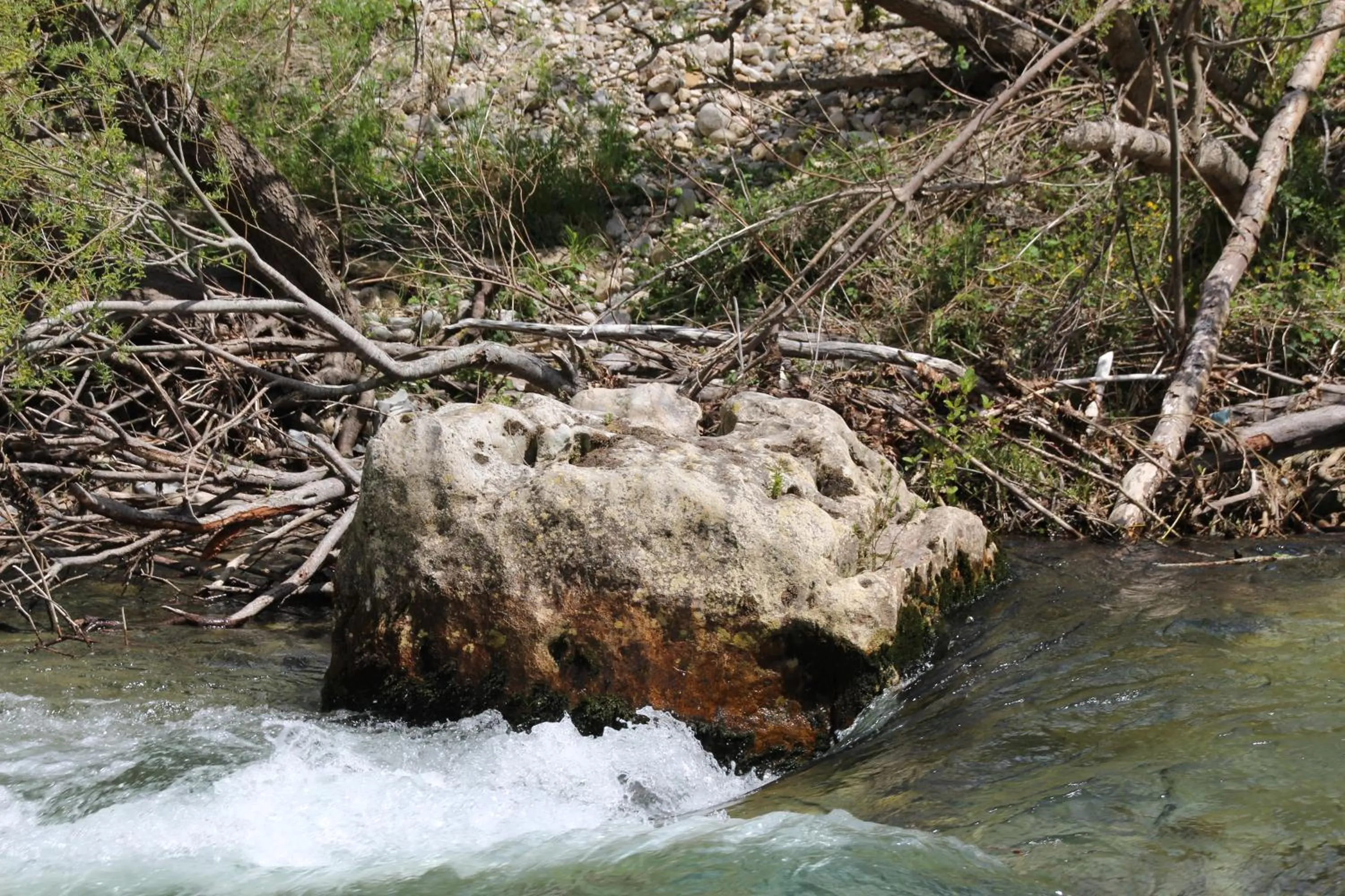 Natural landscape in Les chambres de la Dourbie