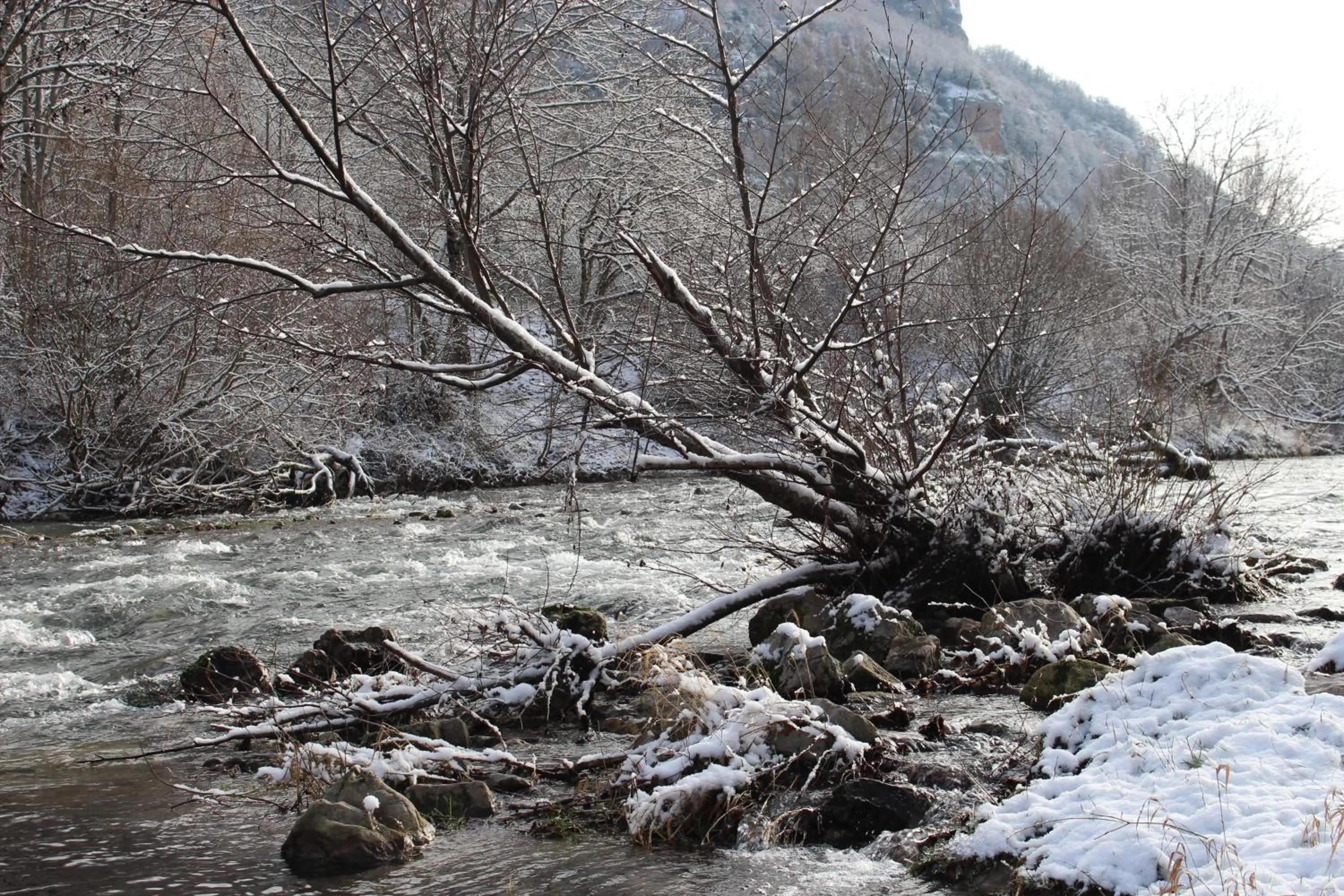Natural landscape in Les chambres de la Dourbie