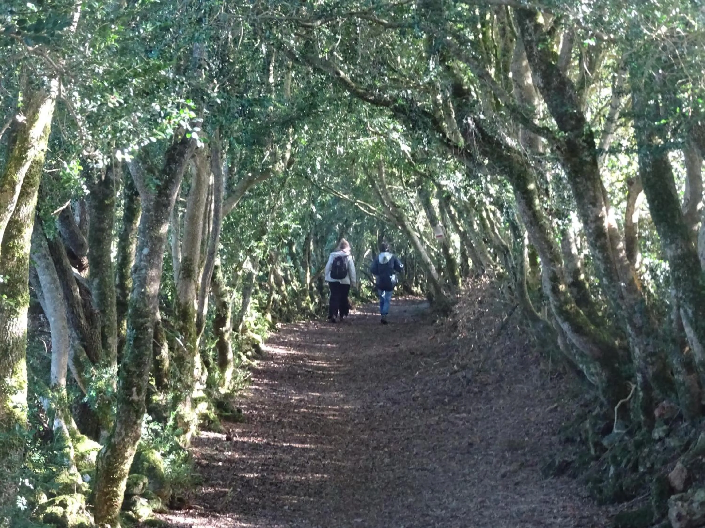 Natural landscape in Les chambres de la Dourbie